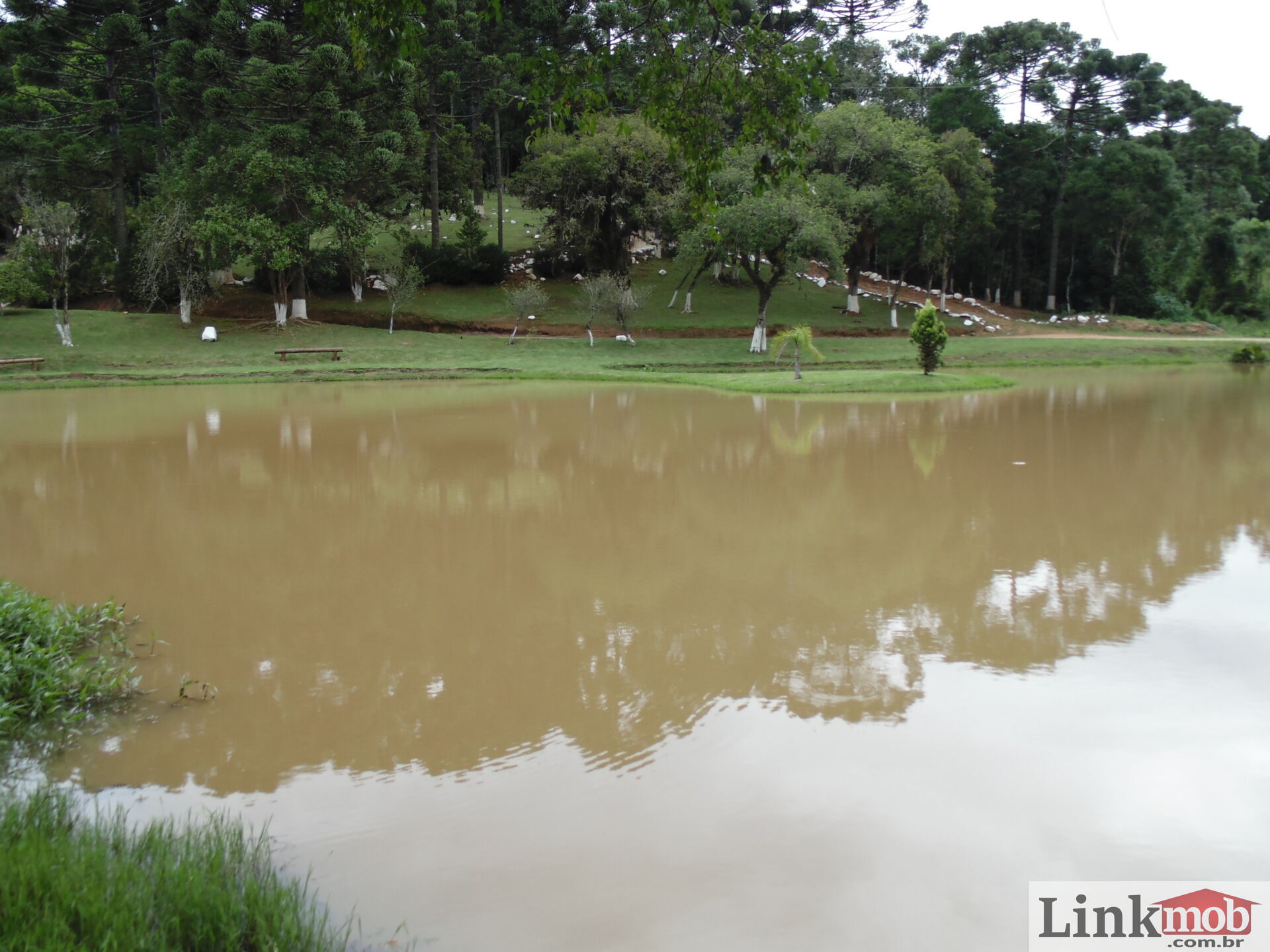 Fazenda à venda com 3 quartos, 3500m² - Foto 45