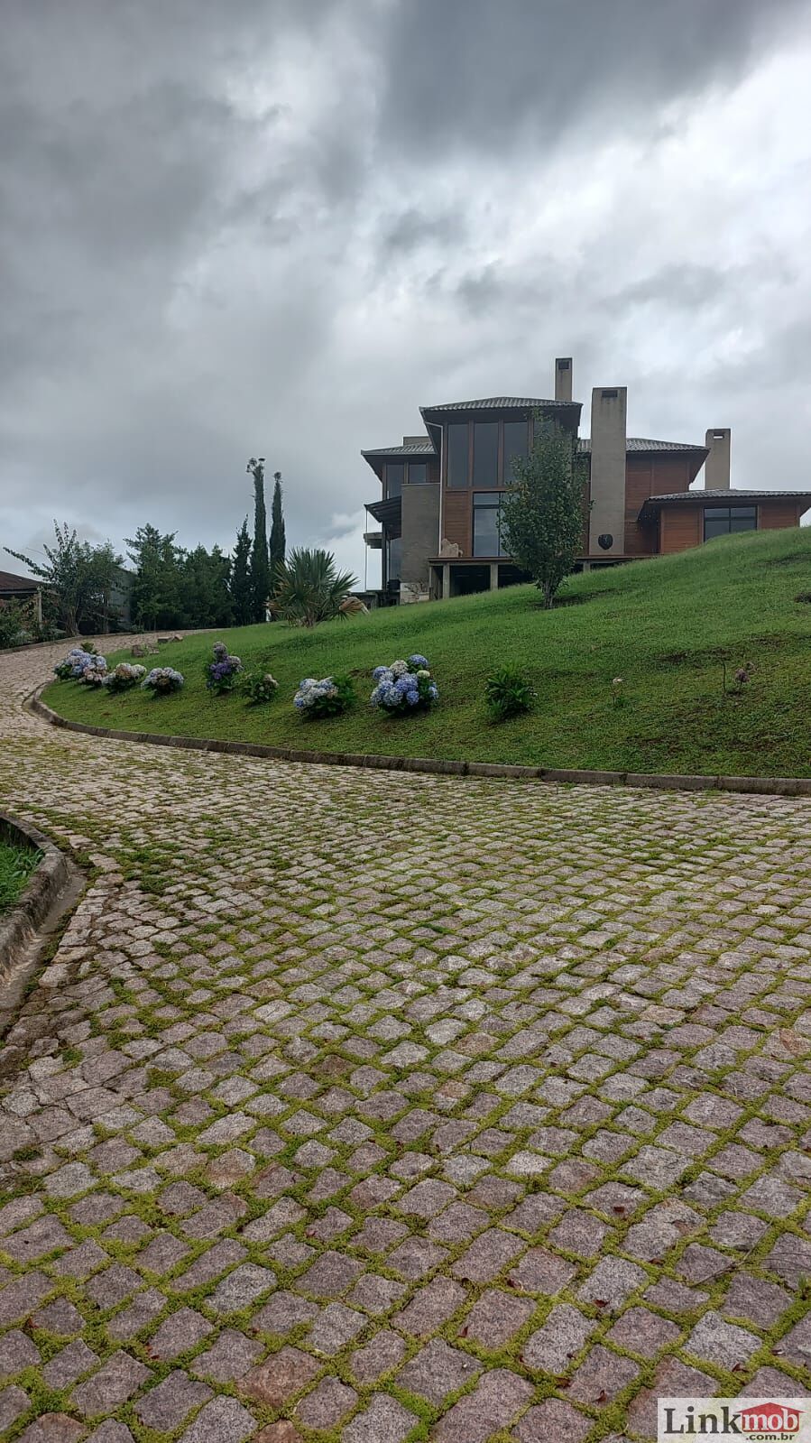 Fazenda à venda com 3 quartos, 3500m² - Foto 4