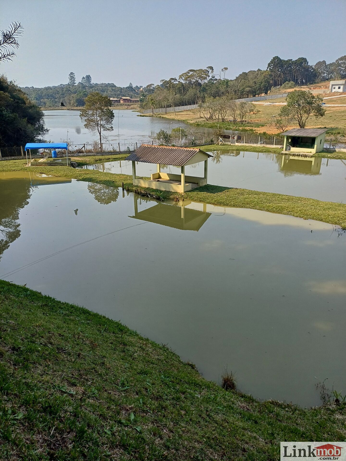 Fazenda à venda com 3 quartos, 14984m² - Foto 3