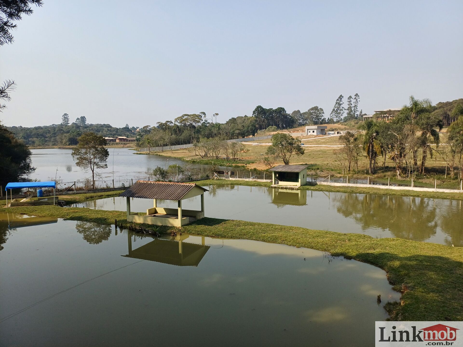 Fazenda à venda com 3 quartos, 14984m² - Foto 1