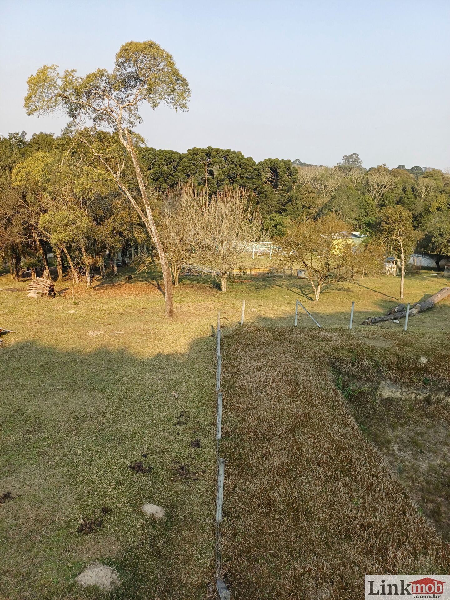 Fazenda à venda com 3 quartos, 14984m² - Foto 9