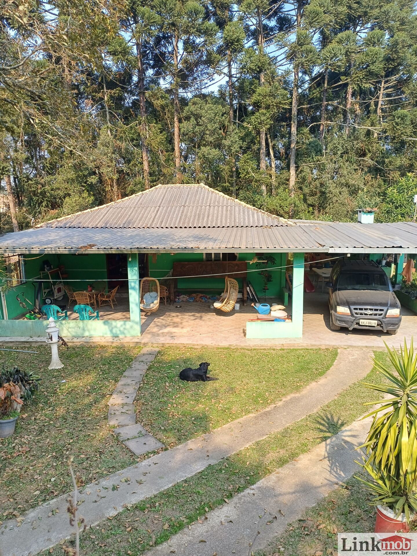 Fazenda à venda com 3 quartos, 14984m² - Foto 14