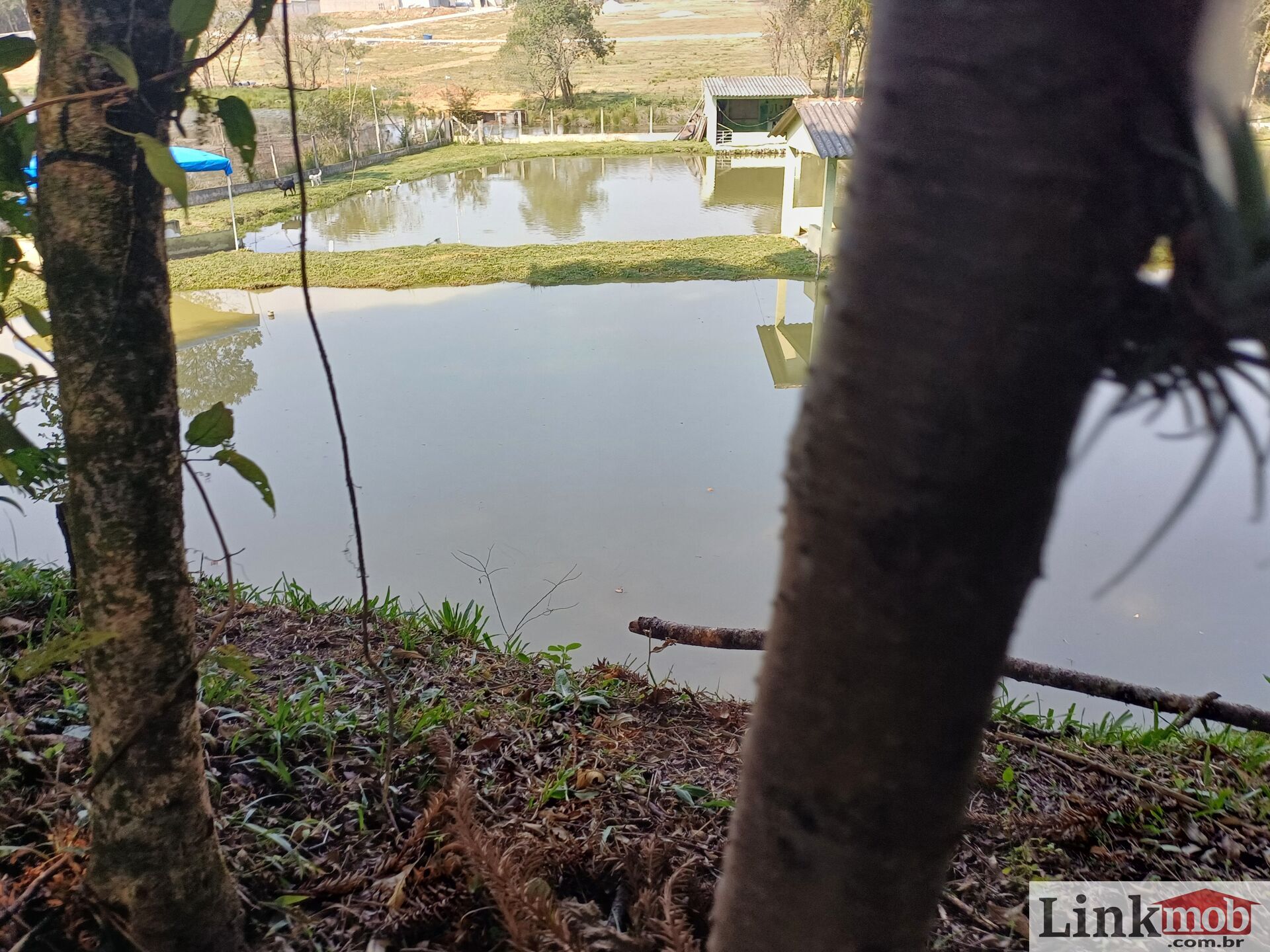 Fazenda à venda com 3 quartos, 14984m² - Foto 2