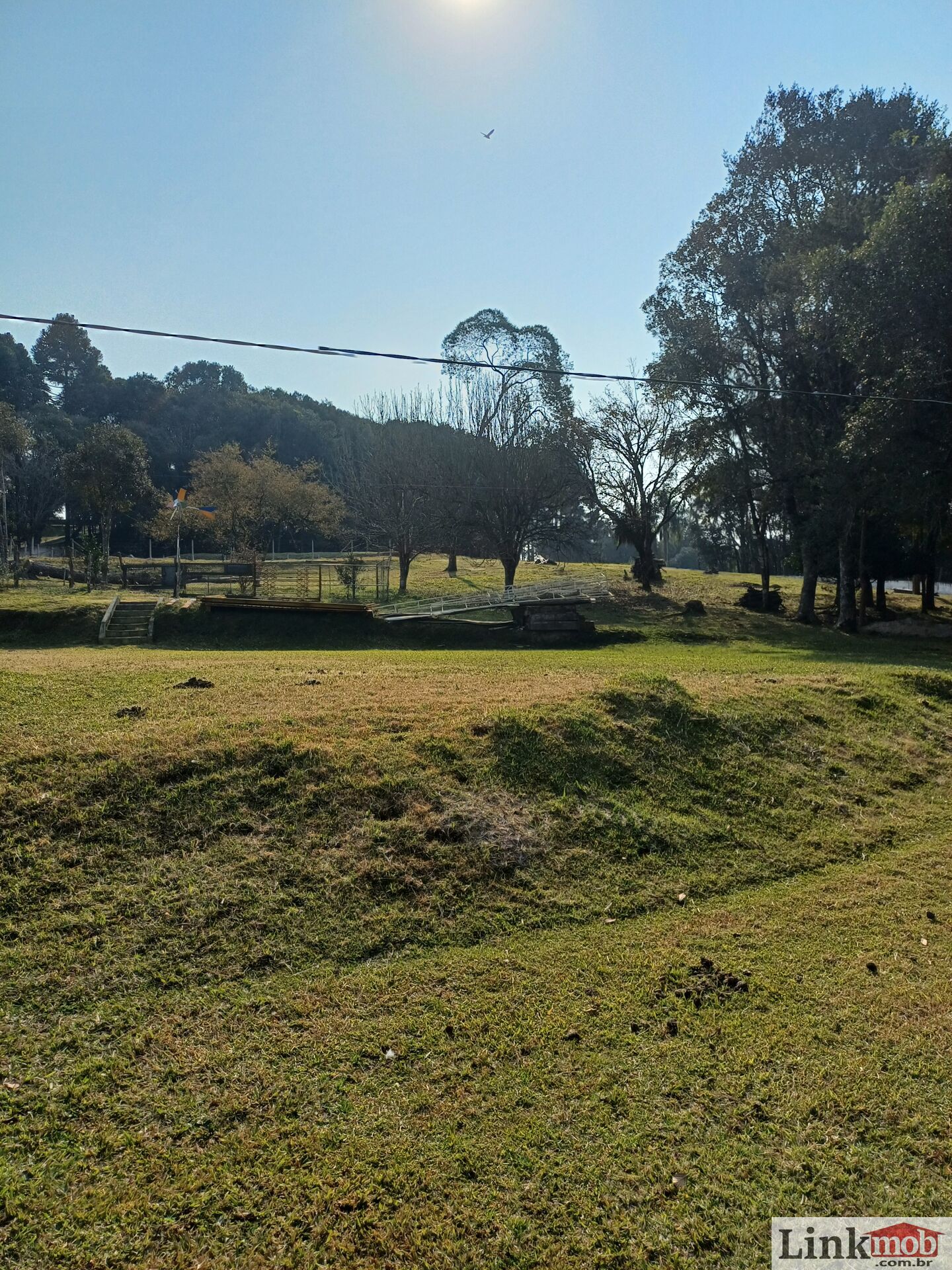 Fazenda à venda com 3 quartos, 14984m² - Foto 10