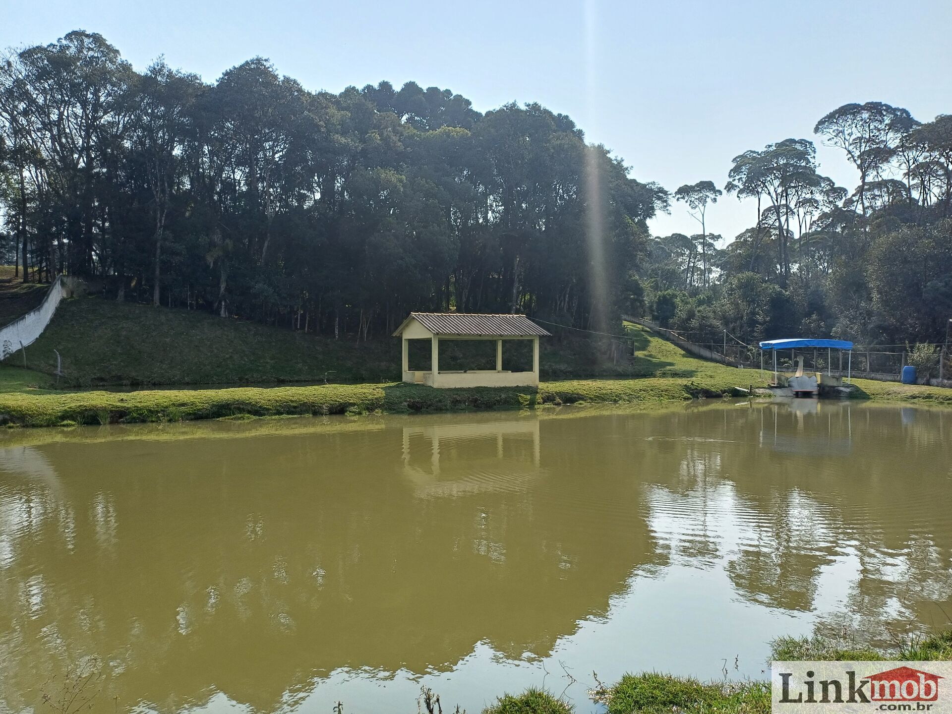 Fazenda à venda com 3 quartos, 14984m² - Foto 5