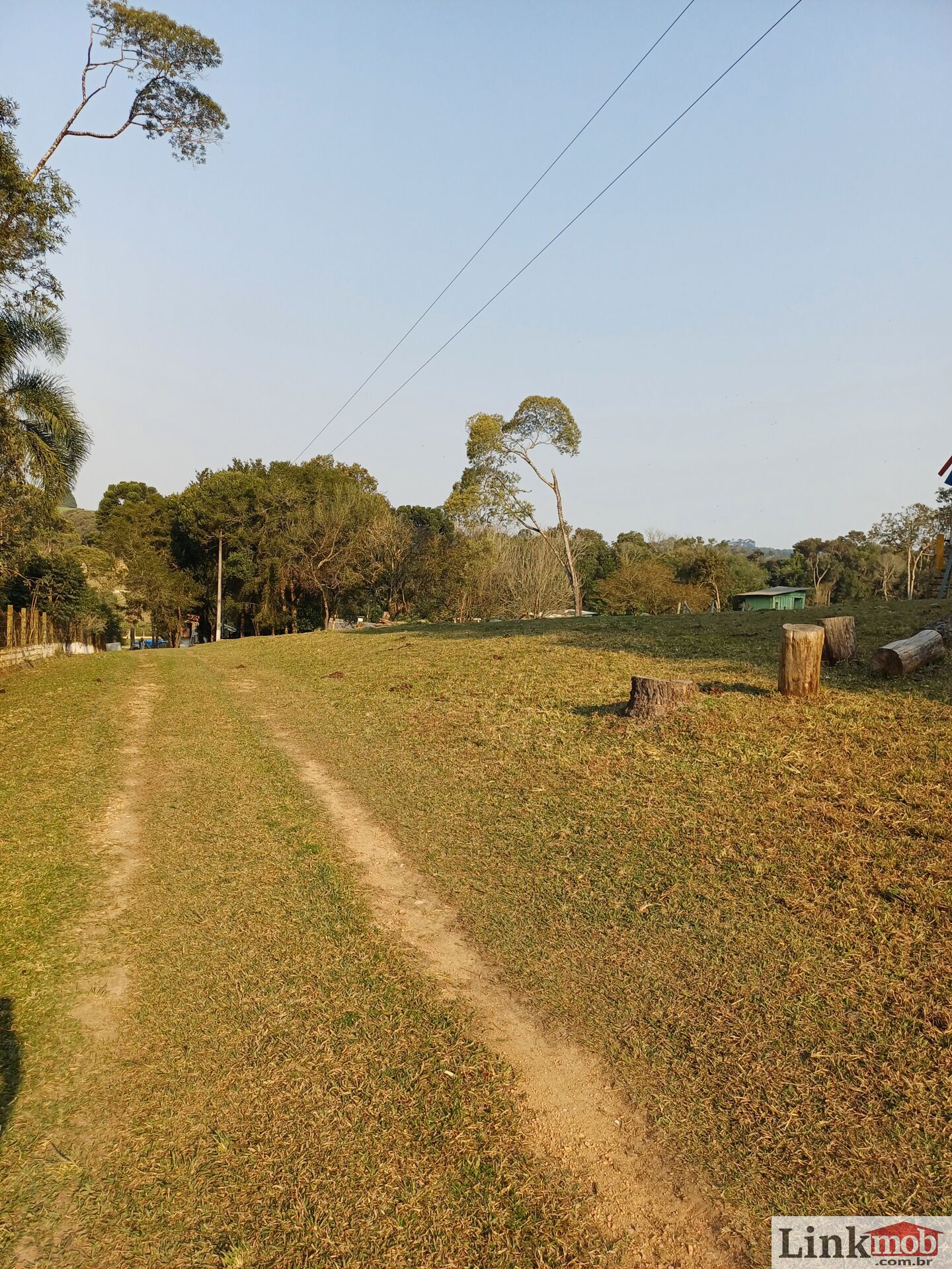 Fazenda à venda com 3 quartos, 14984m² - Foto 11