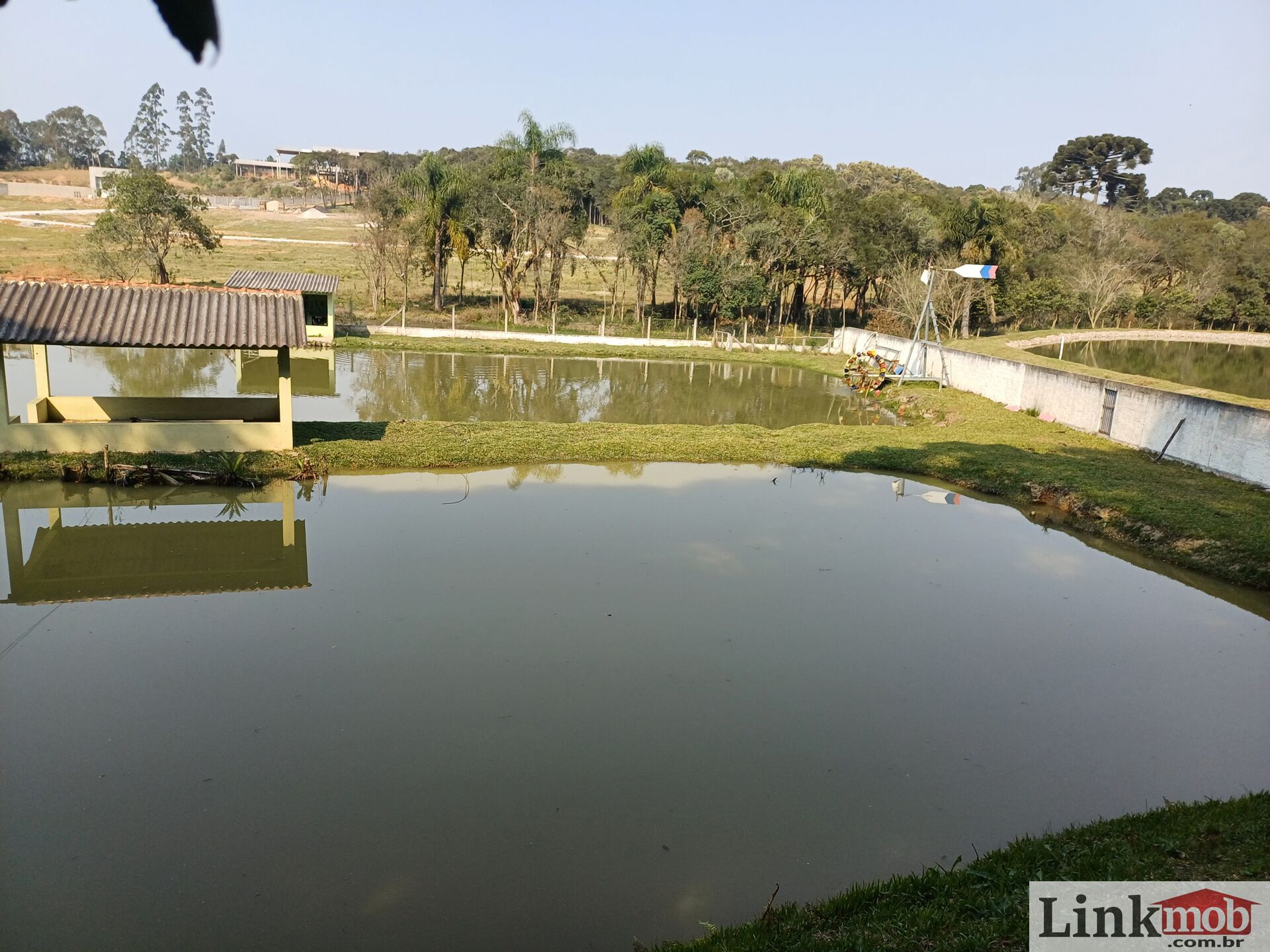 Fazenda à venda com 3 quartos, 14984m² - Foto 4