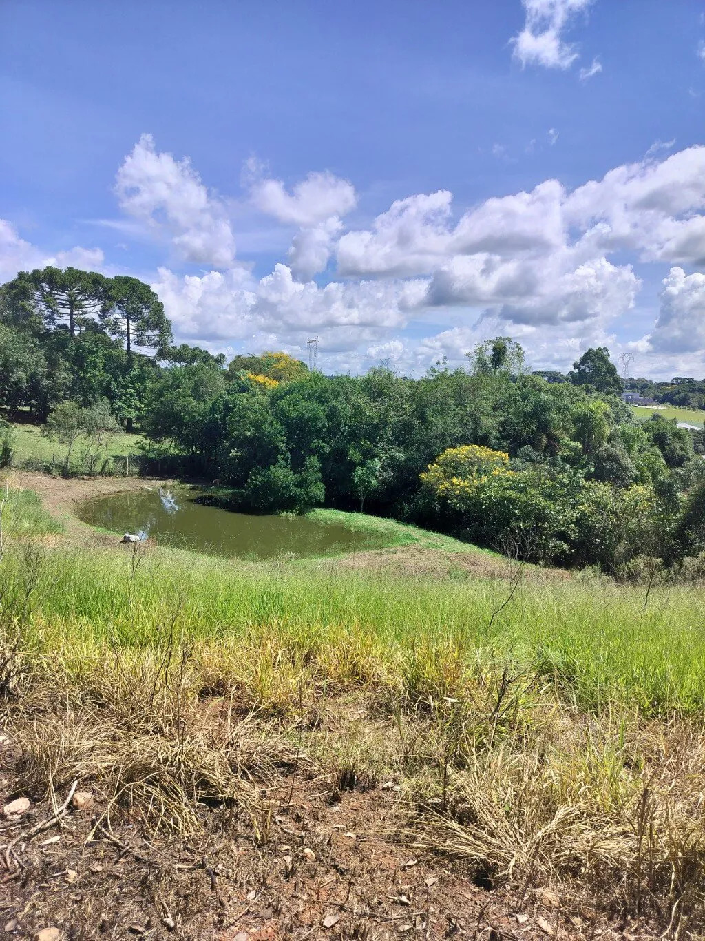 Terreno à venda, 2400m² - Foto 1