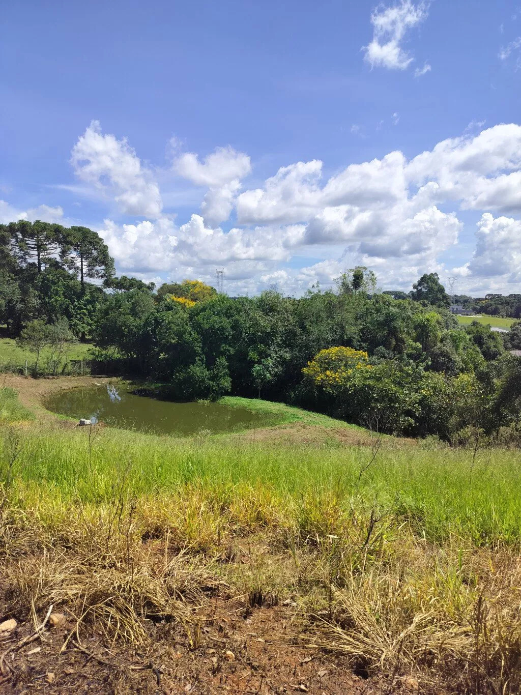 Terreno à venda, 2400m² - Foto 3