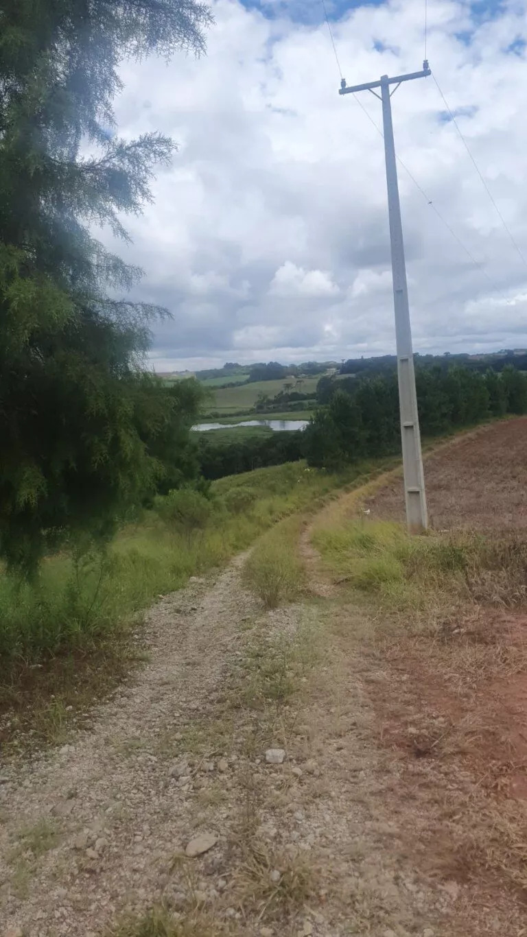 Fazenda à venda com 1 quarto, 72000m² - Foto 8