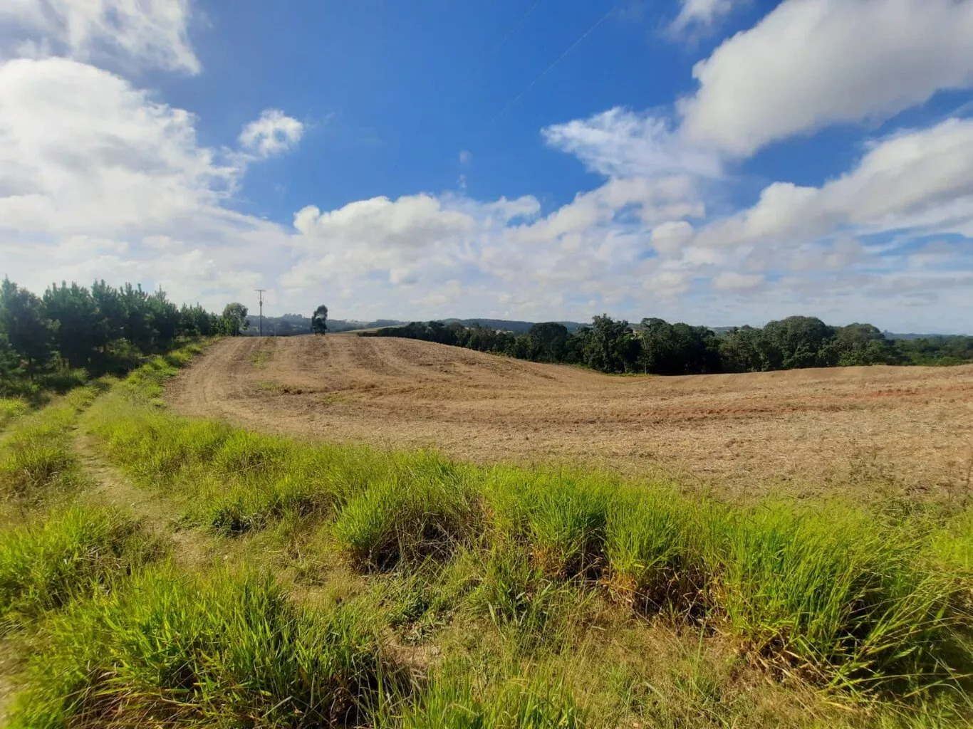 Fazenda à venda com 1 quarto, 72000m² - Foto 14