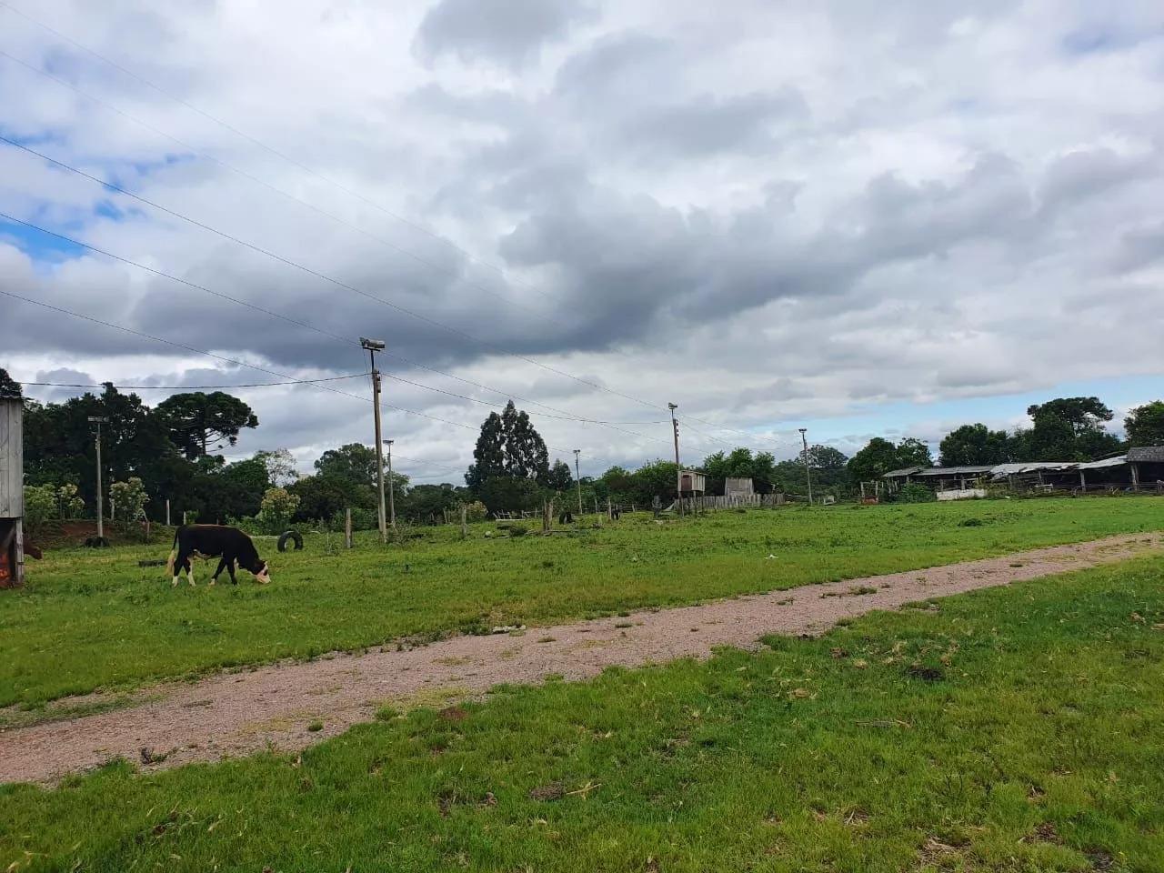 Terreno à venda, 16350m² - Foto 8