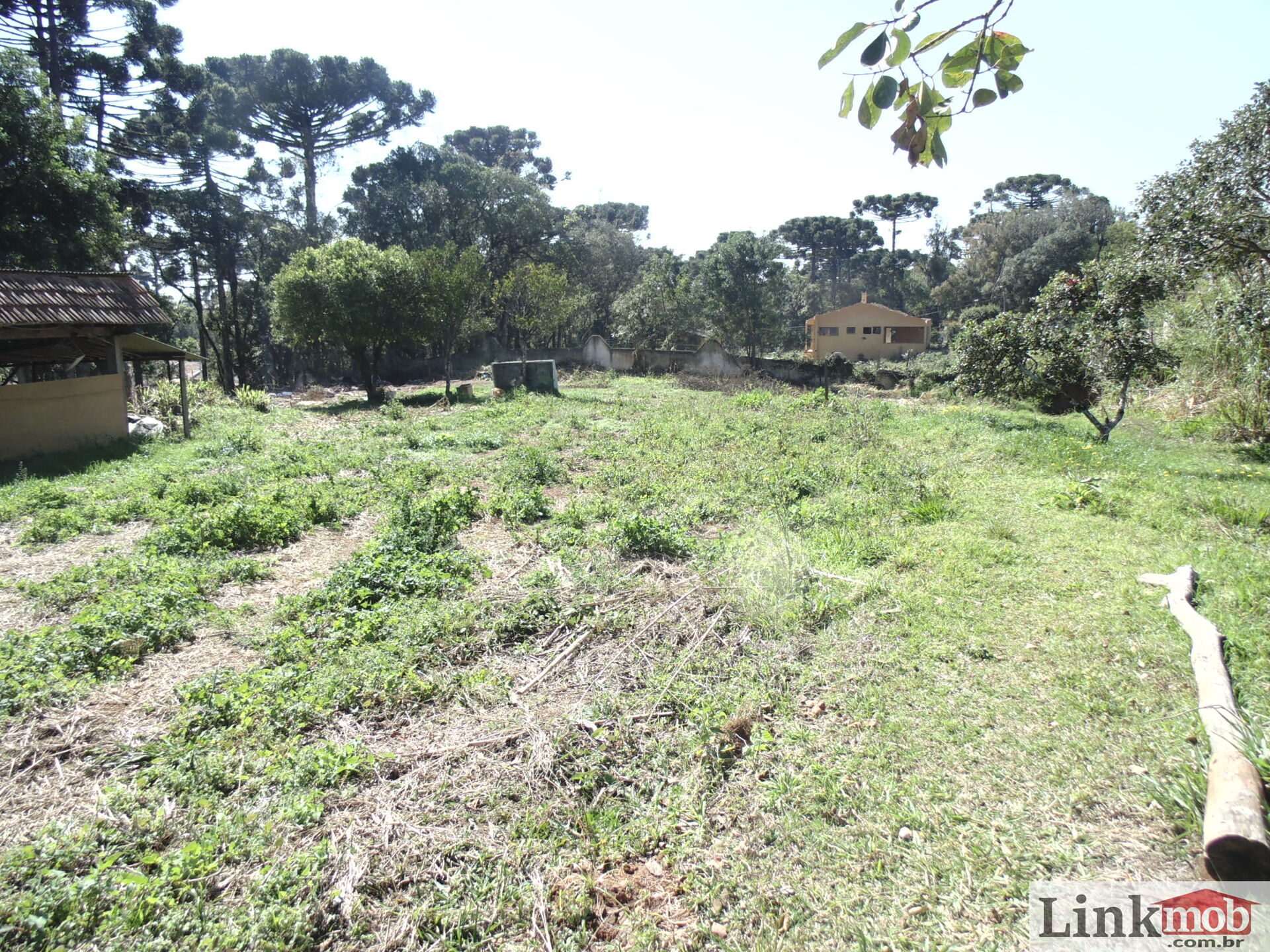 Terreno à venda, 18000m² - Foto 15