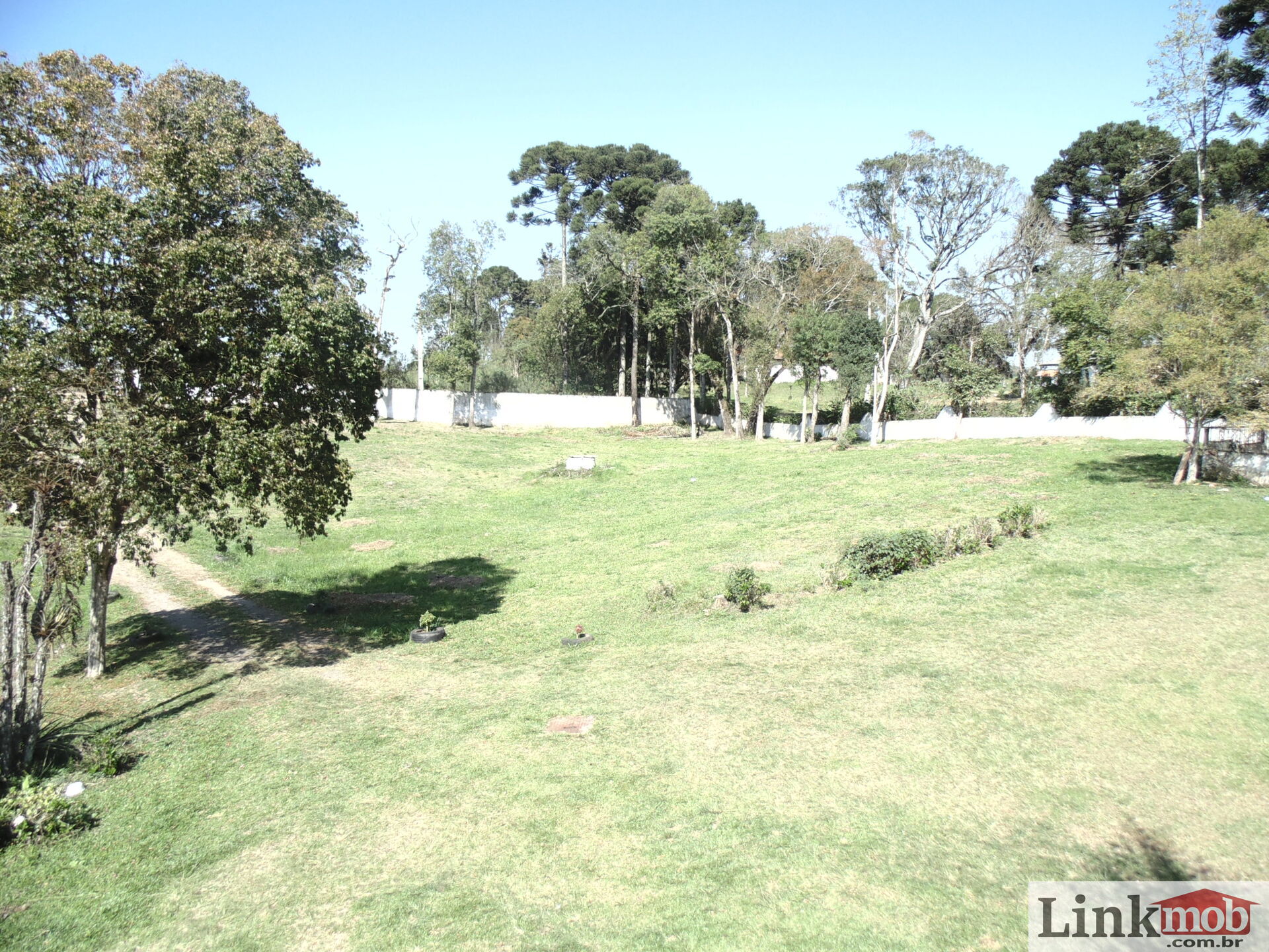 Terreno à venda, 18000m² - Foto 2