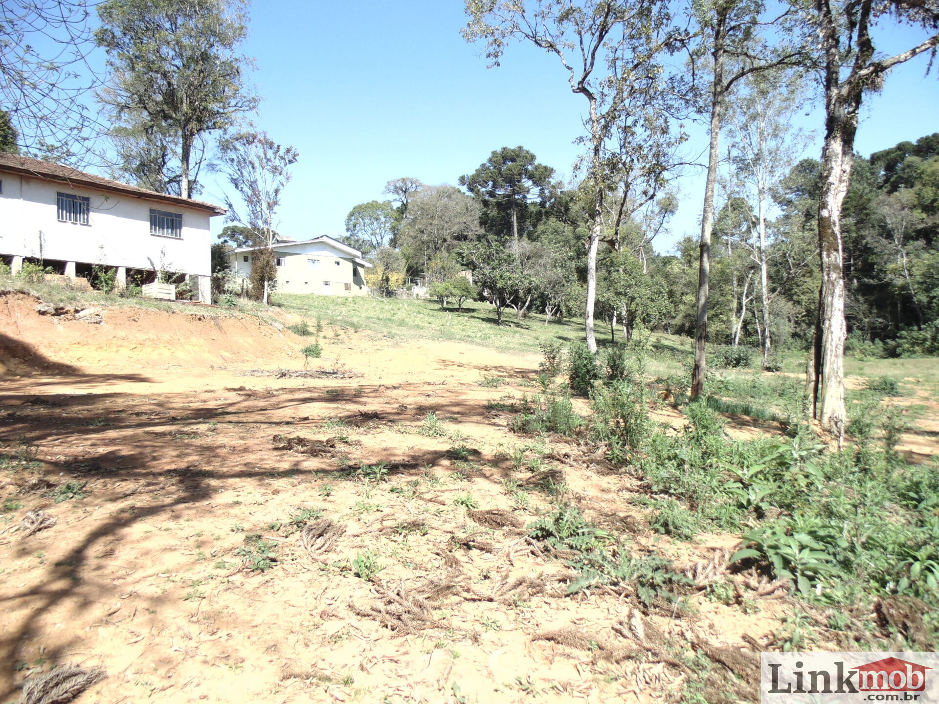 Terreno à venda, 18000m² - Foto 19