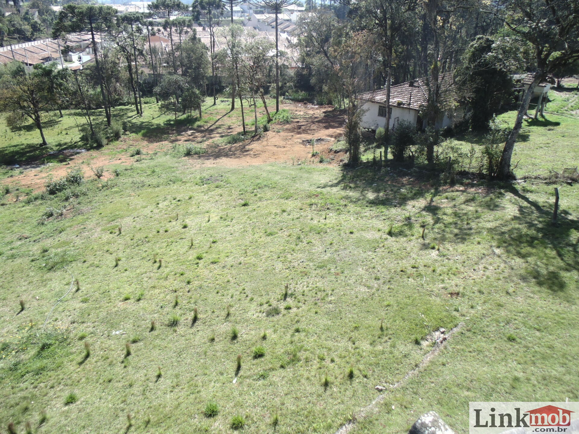 Terreno à venda, 18000m² - Foto 5