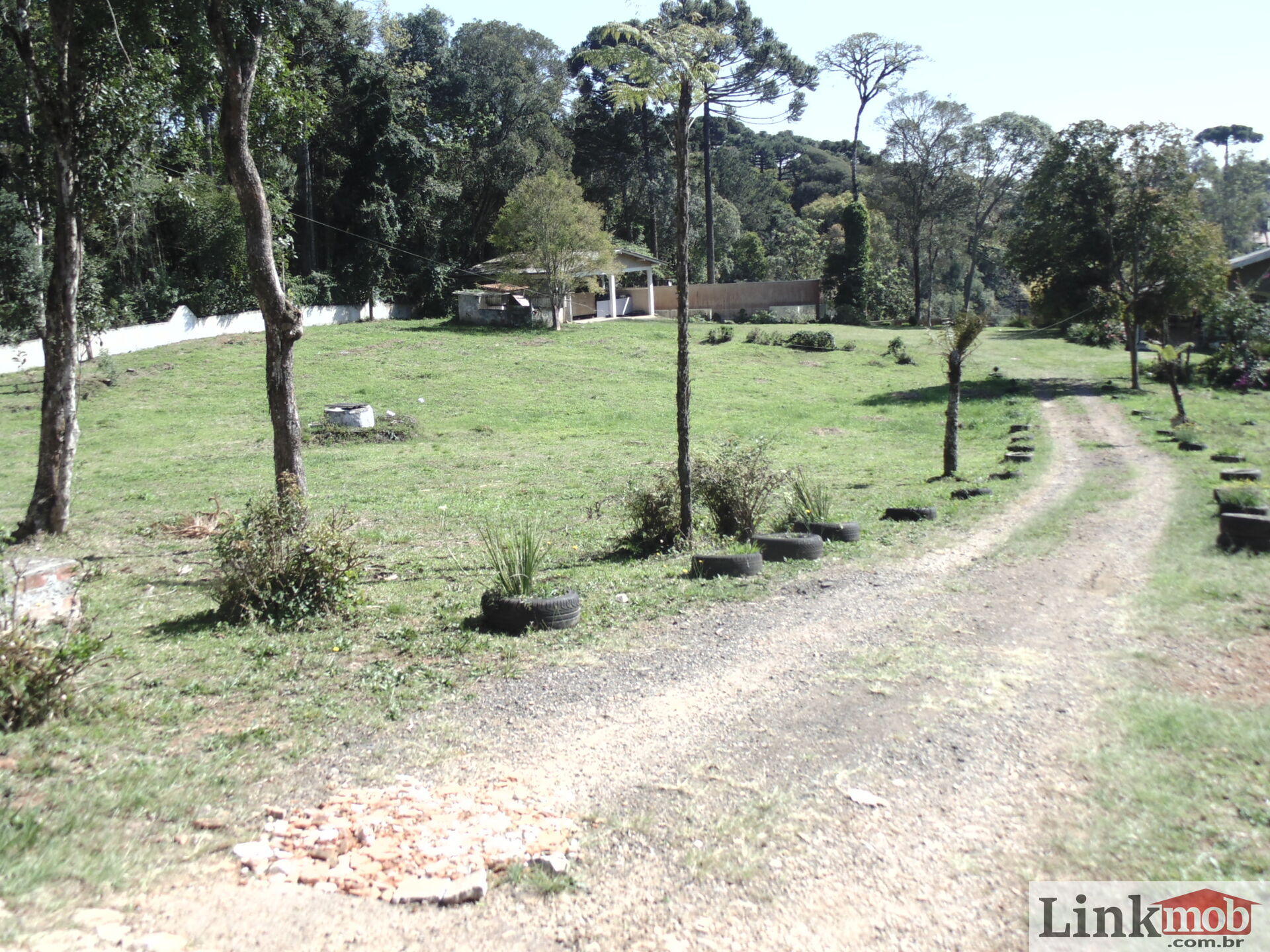 Terreno à venda, 18000m² - Foto 12