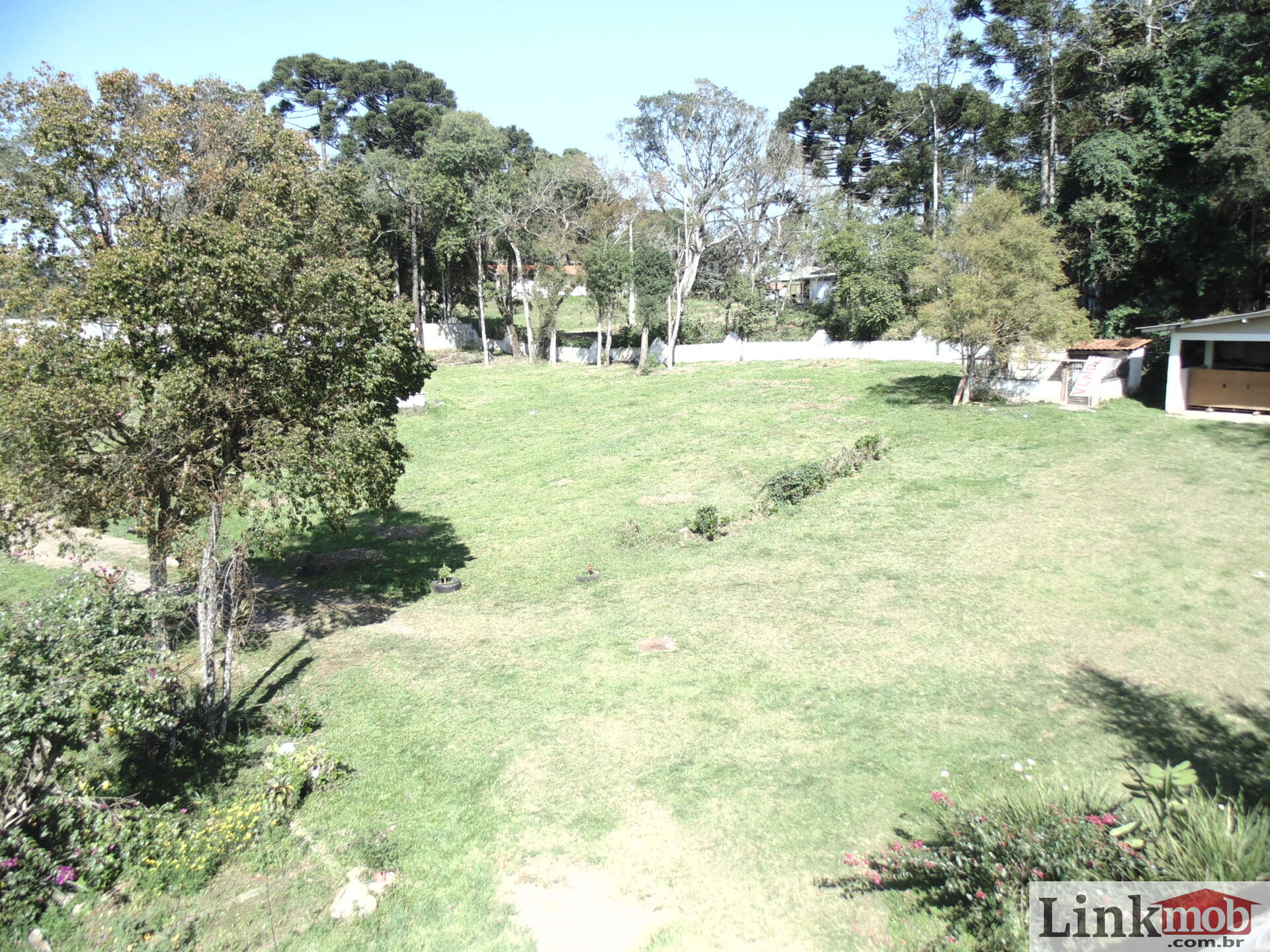 Terreno à venda, 18000m² - Foto 4