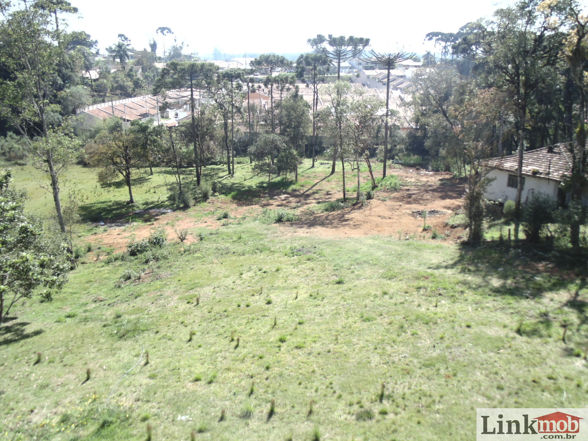 Terreno à venda, 18000m² - Foto 6