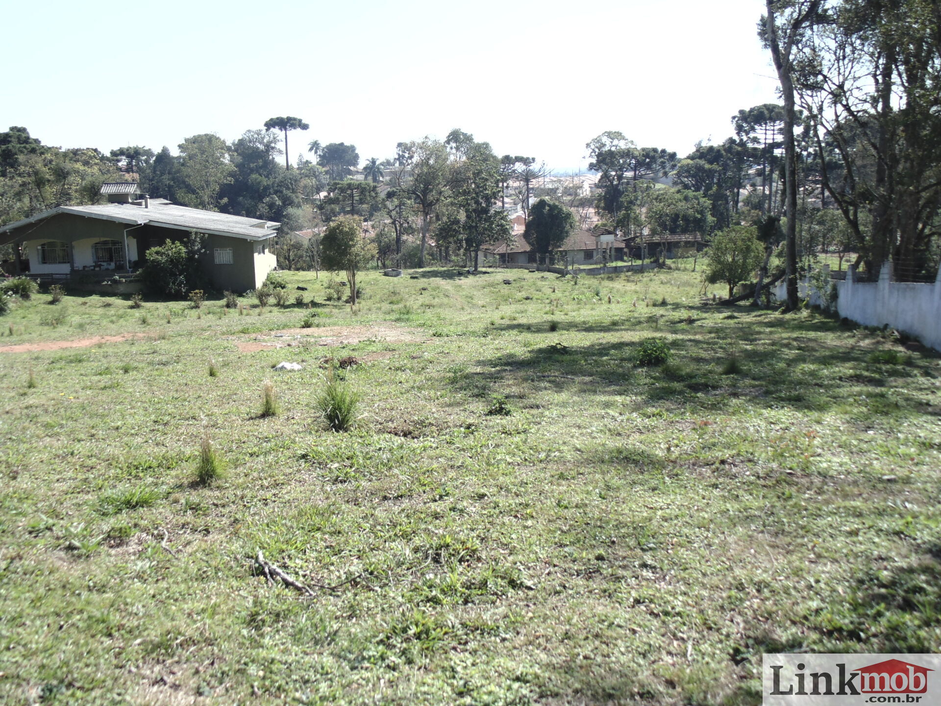 Terreno à venda, 18000m² - Foto 13