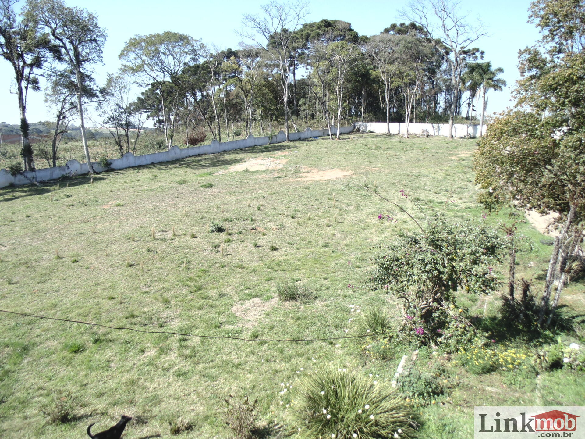 Terreno à venda, 18000m² - Foto 3