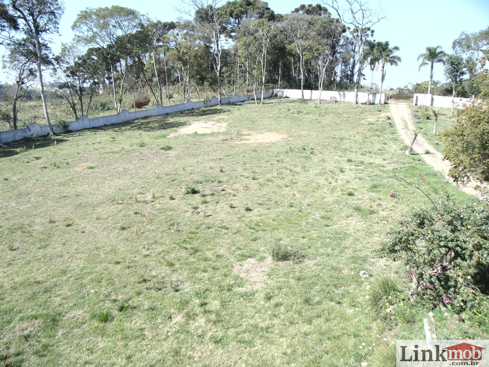 Terreno à venda, 18000m² - Foto 1