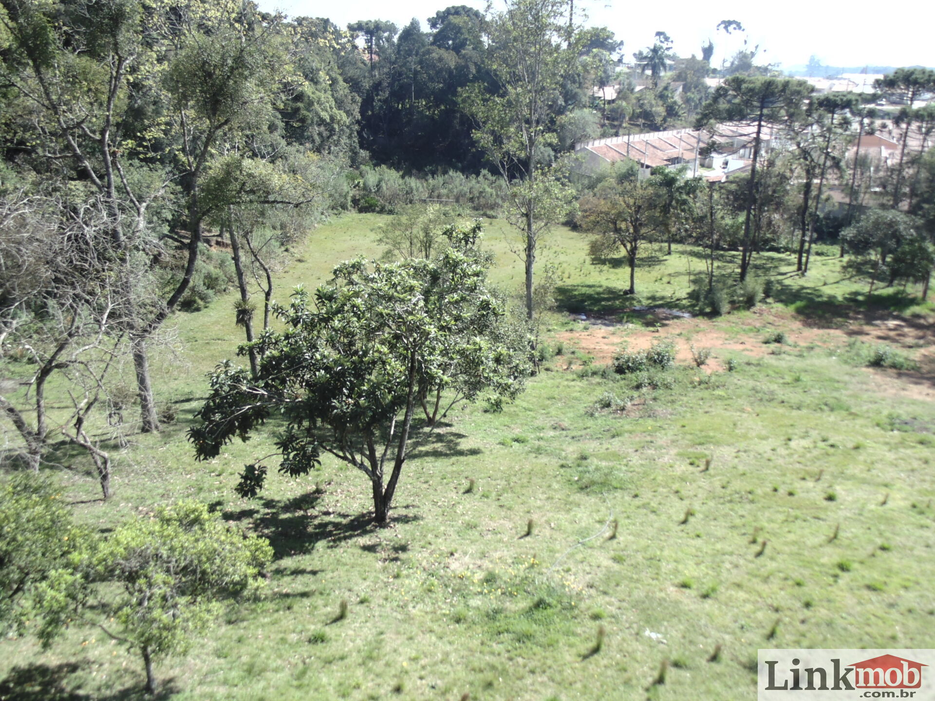 Terreno à venda, 18000m² - Foto 7