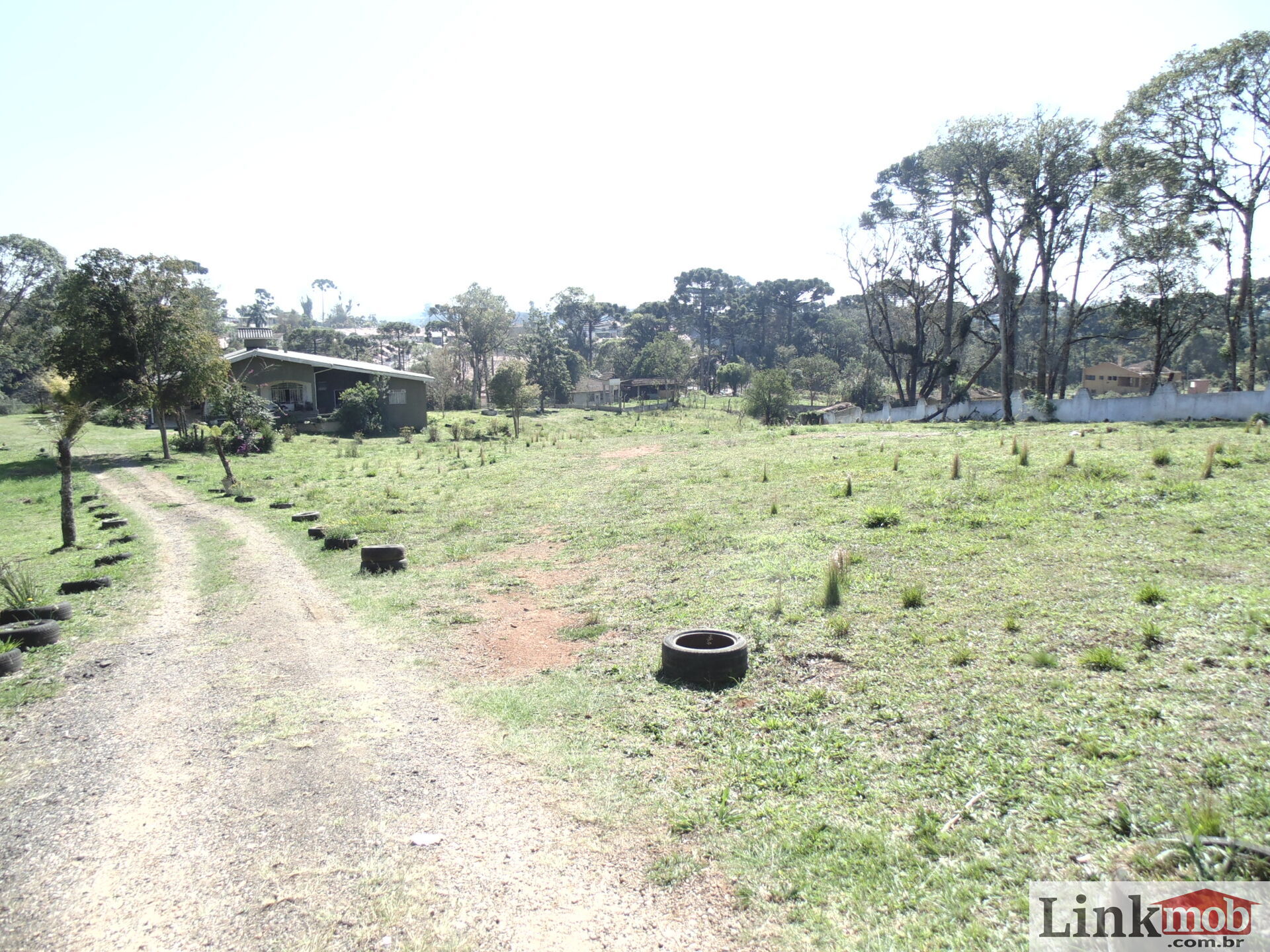 Terreno à venda, 18000m² - Foto 11