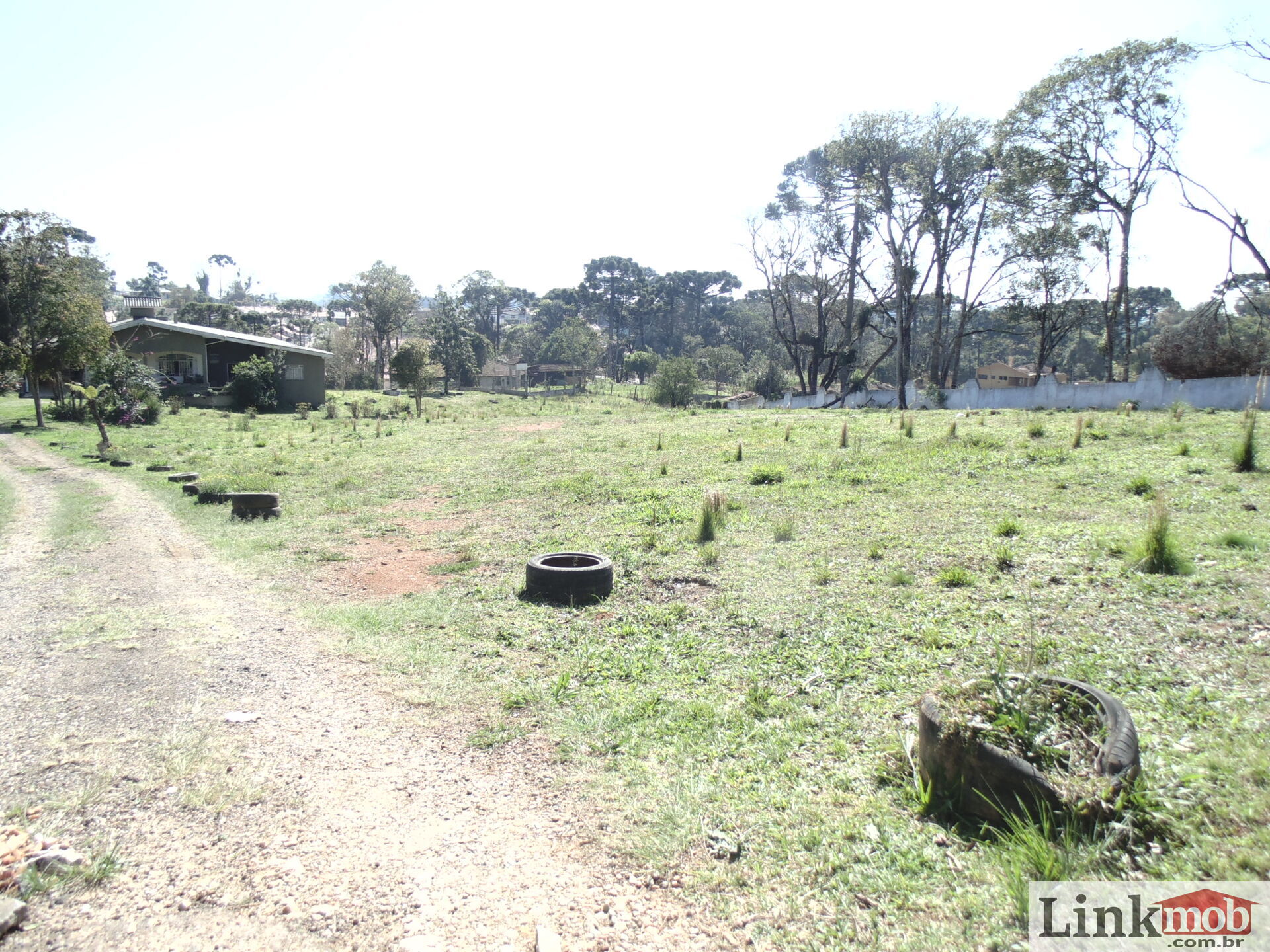 Terreno à venda, 18000m² - Foto 10