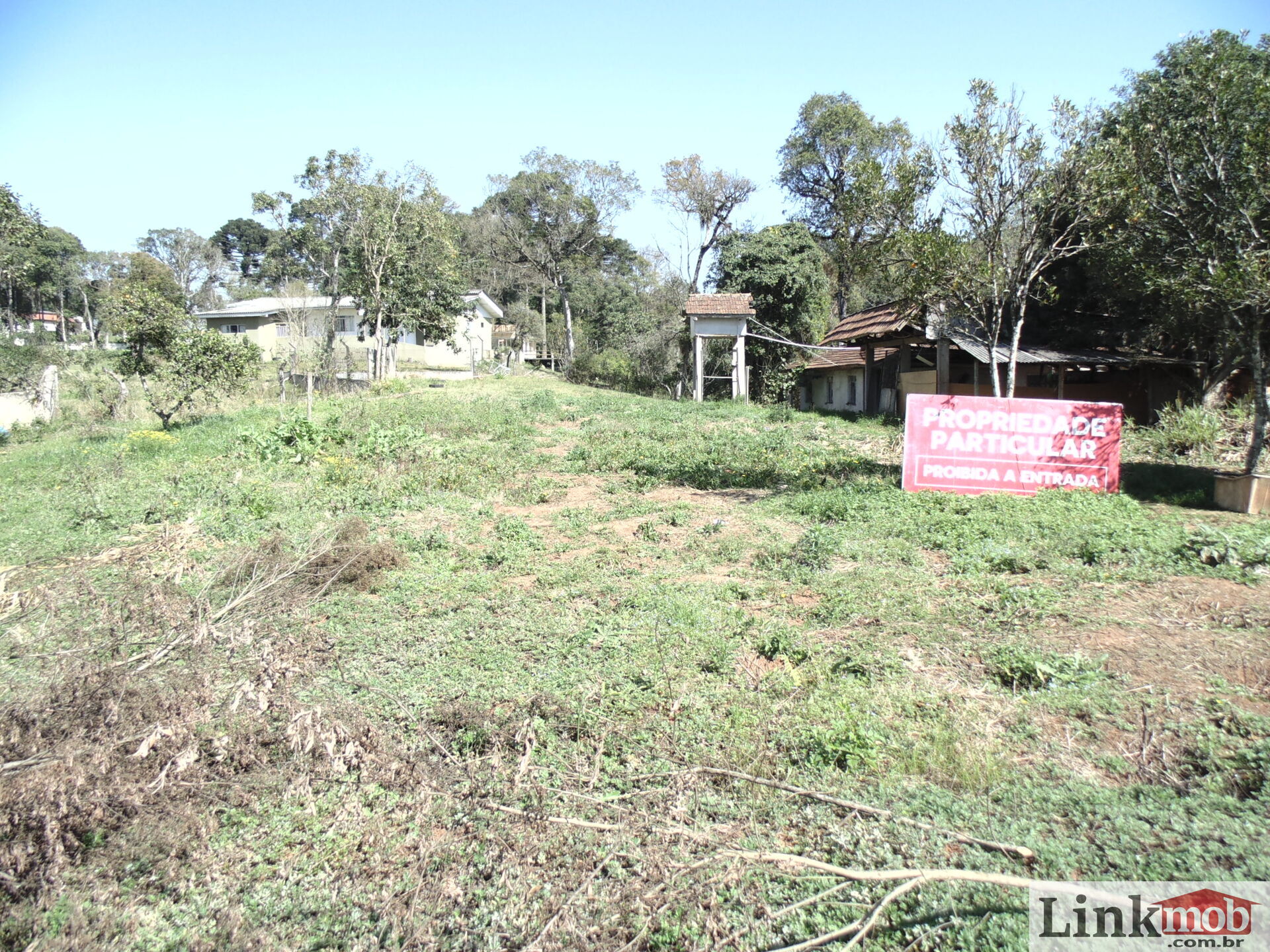 Terreno à venda, 18000m² - Foto 16