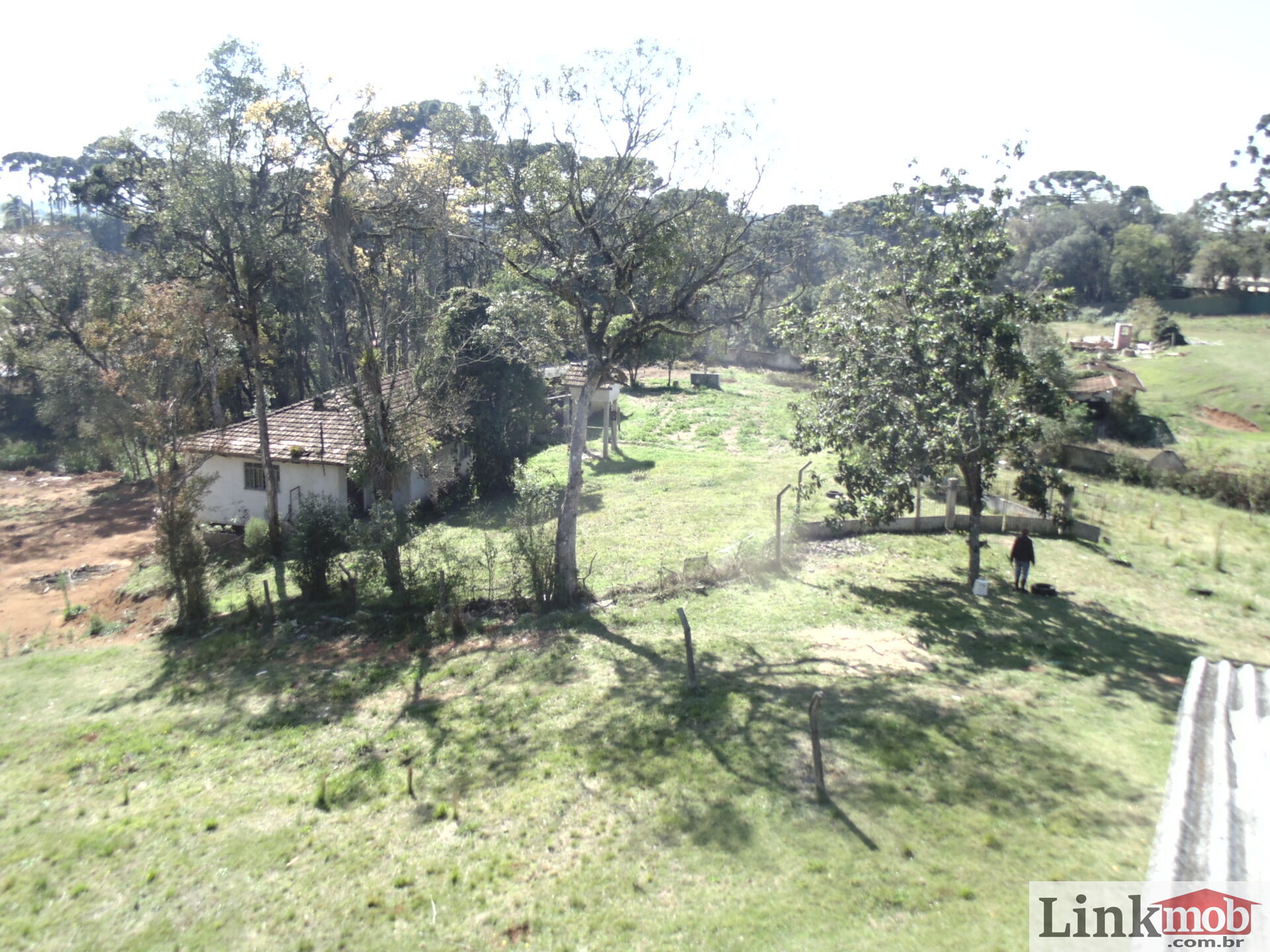 Terreno à venda, 18000m² - Foto 8