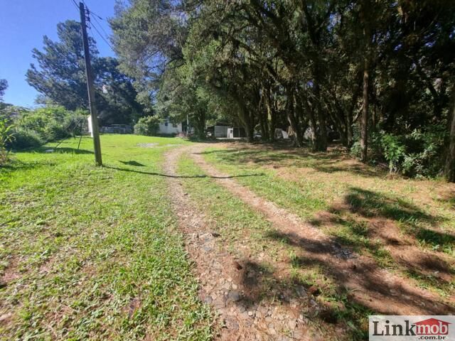 Terreno à venda, 24300m² - Foto 11