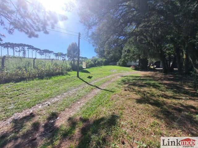 Terreno à venda, 24300m² - Foto 7