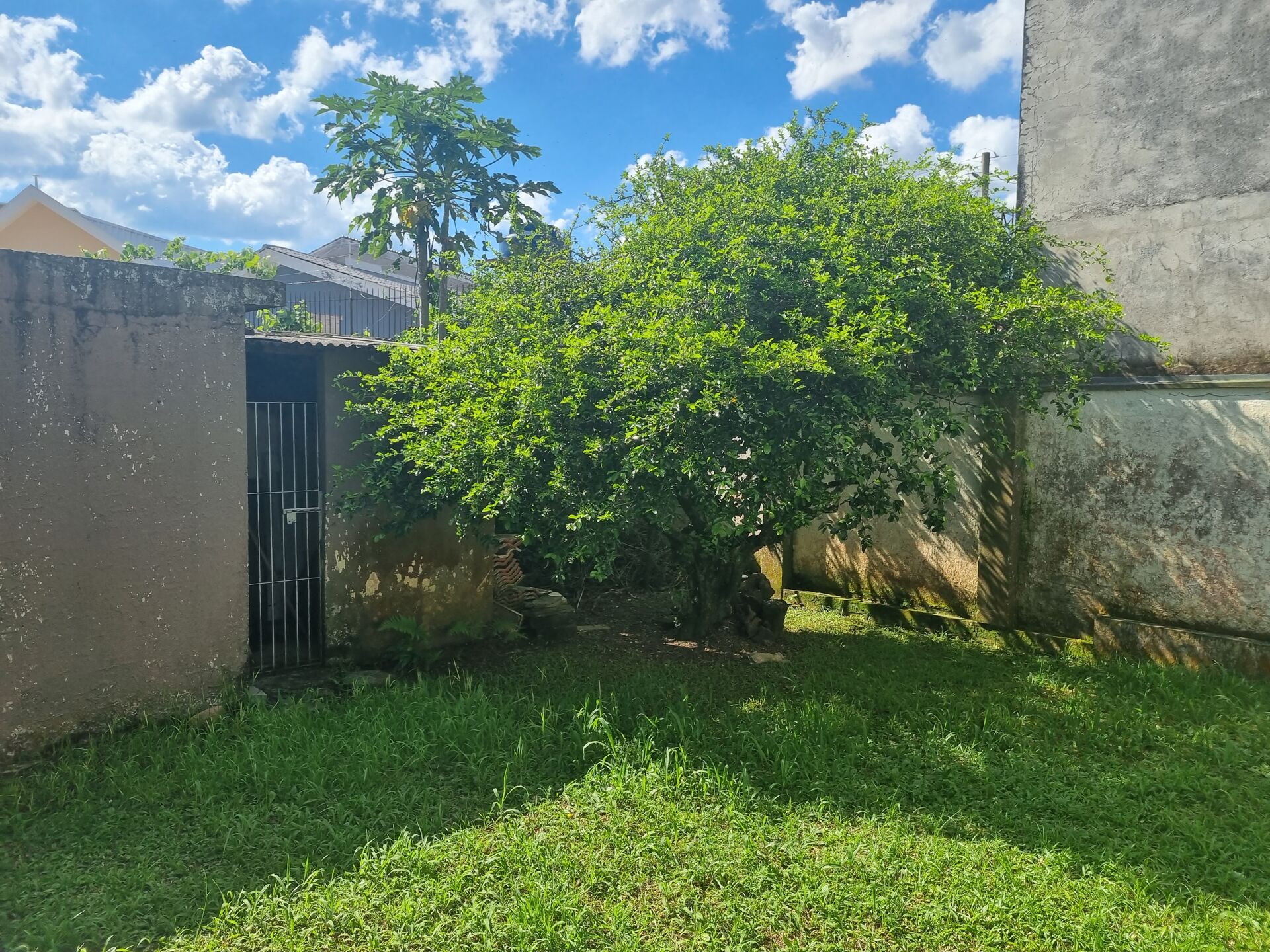 Terreno à venda com 3 quartos, 180m² - Foto 22