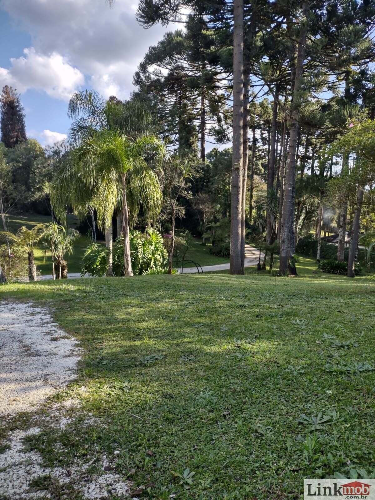 Fazenda à venda com 3 quartos, 11141m² - Foto 8