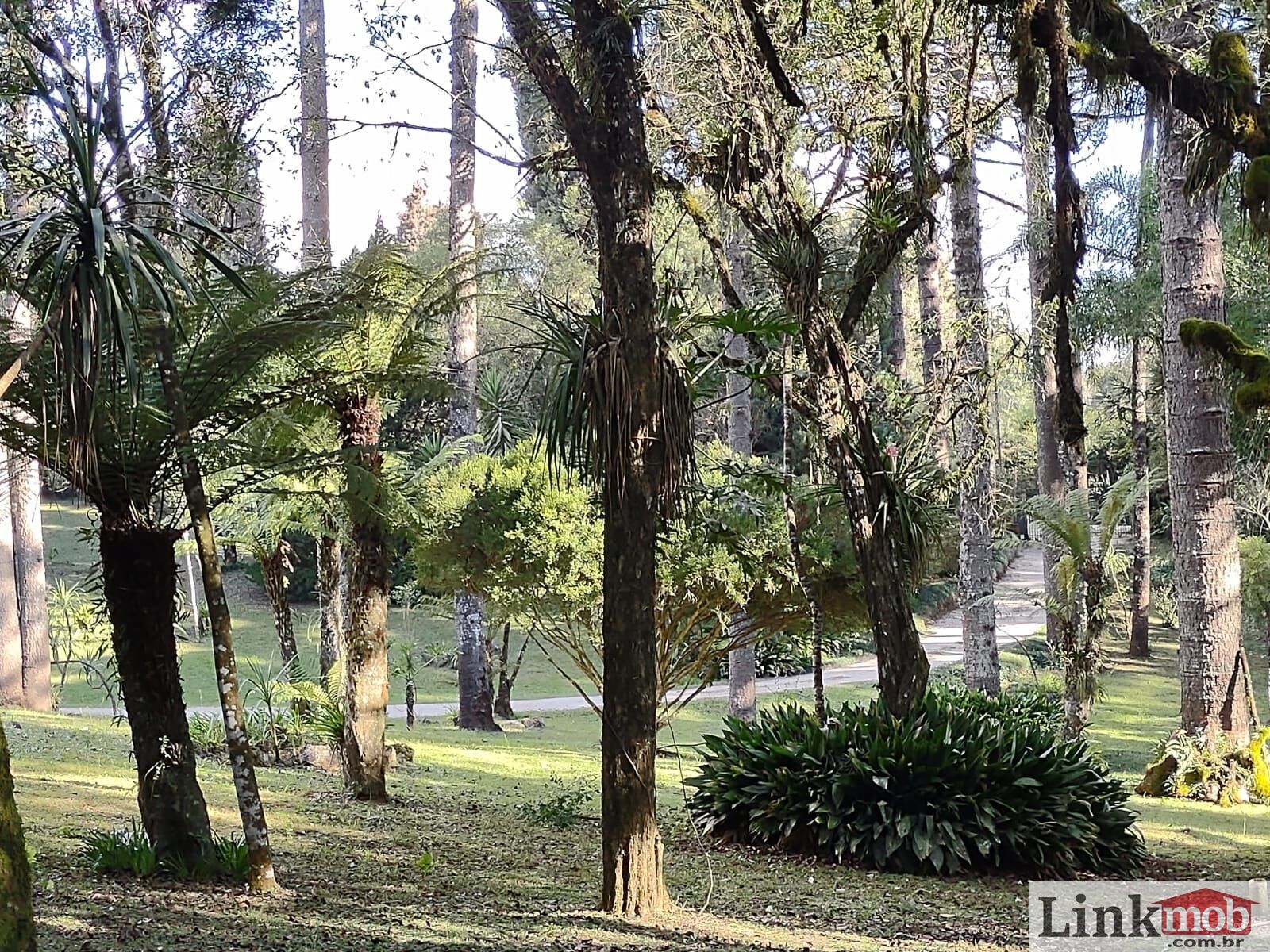 Fazenda à venda com 3 quartos, 11141m² - Foto 22