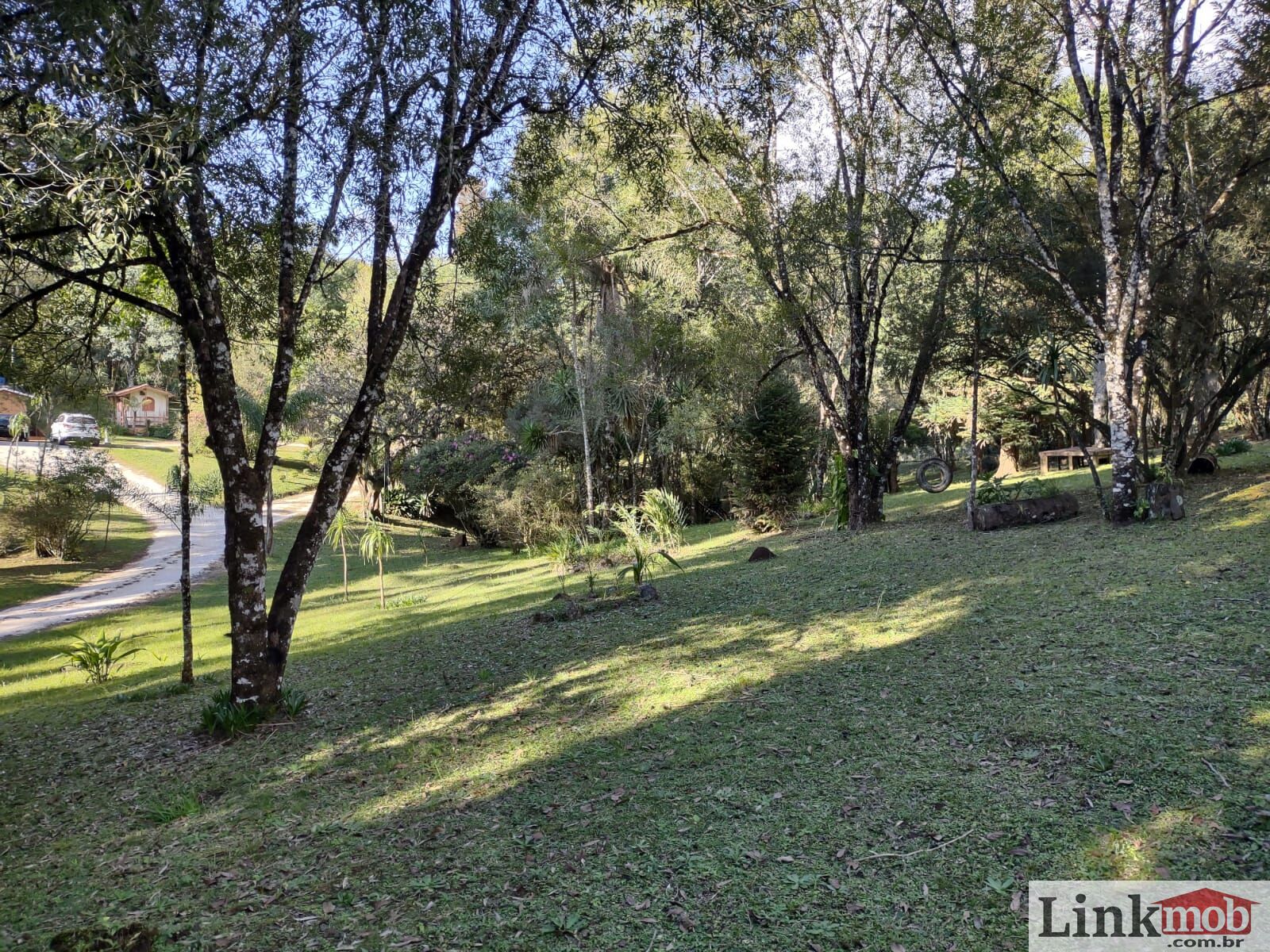 Fazenda à venda com 3 quartos, 11141m² - Foto 16