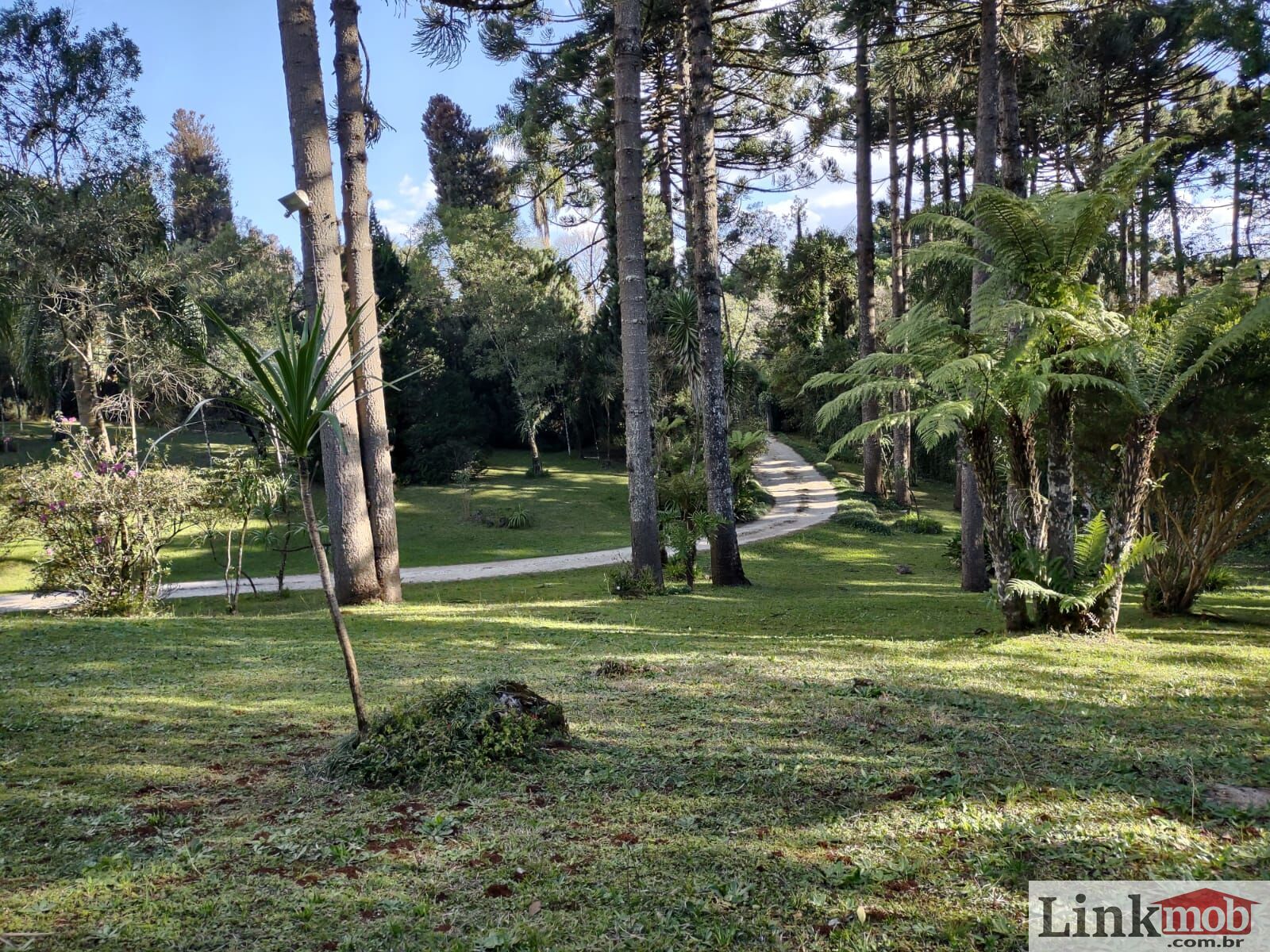 Fazenda à venda com 3 quartos, 11141m² - Foto 20