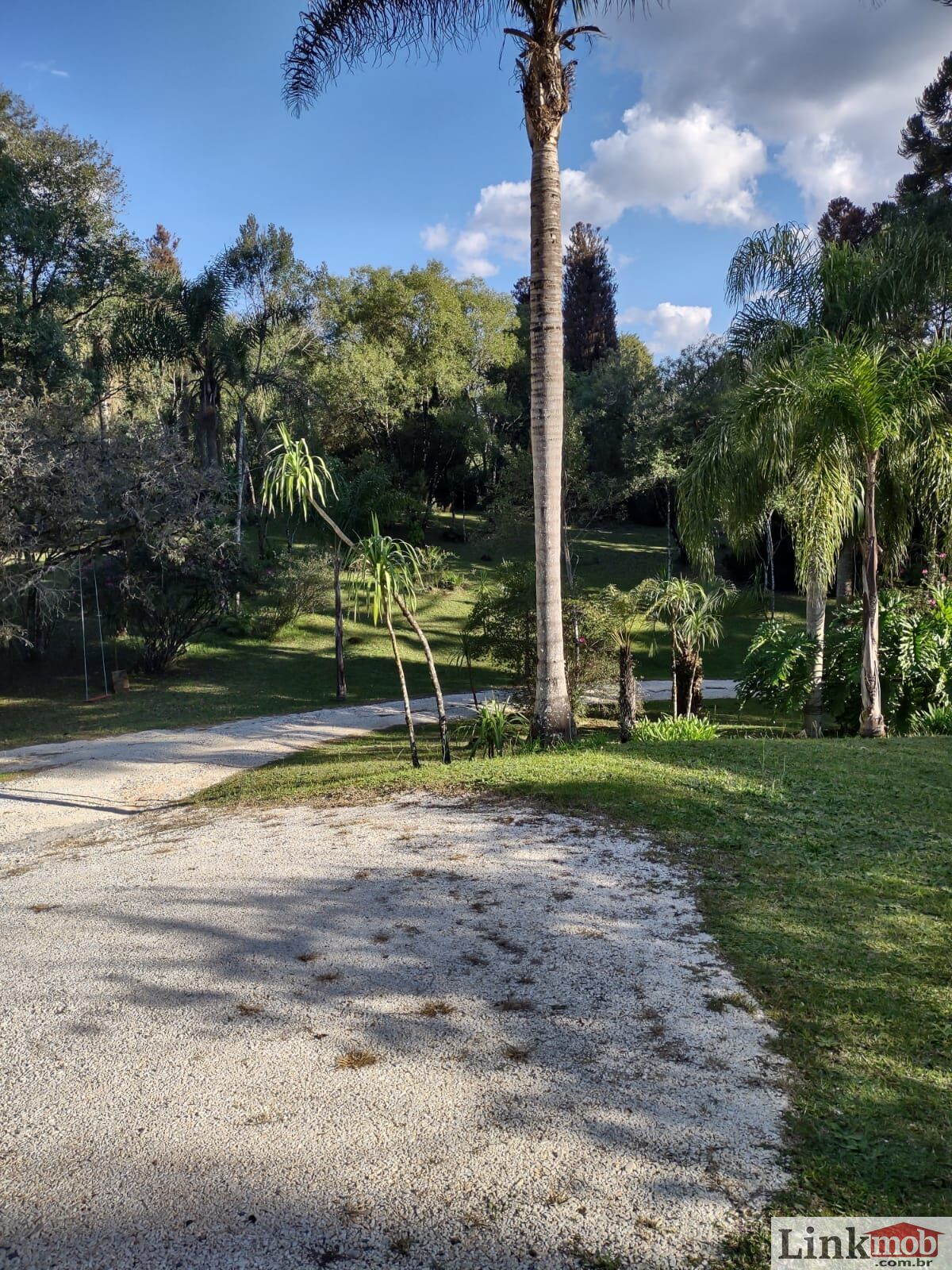 Fazenda à venda com 3 quartos, 11141m² - Foto 9