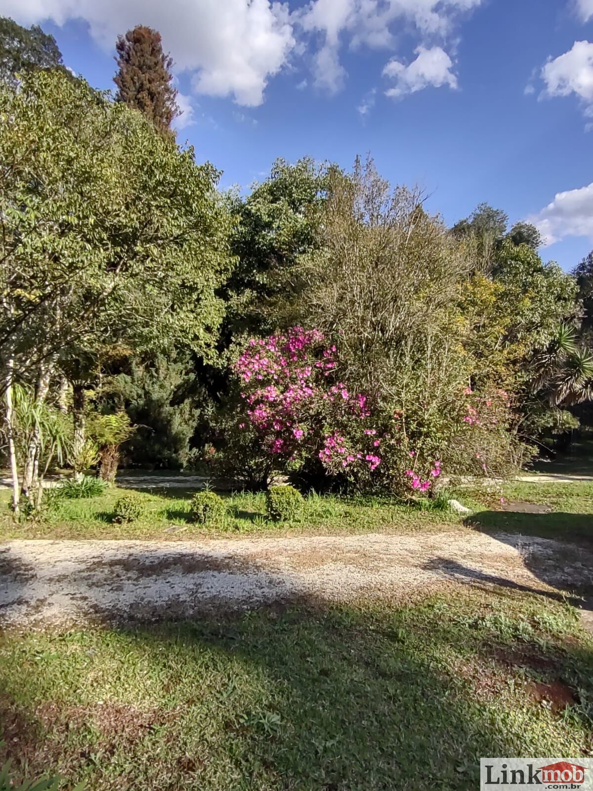 Fazenda à venda com 3 quartos, 11141m² - Foto 10