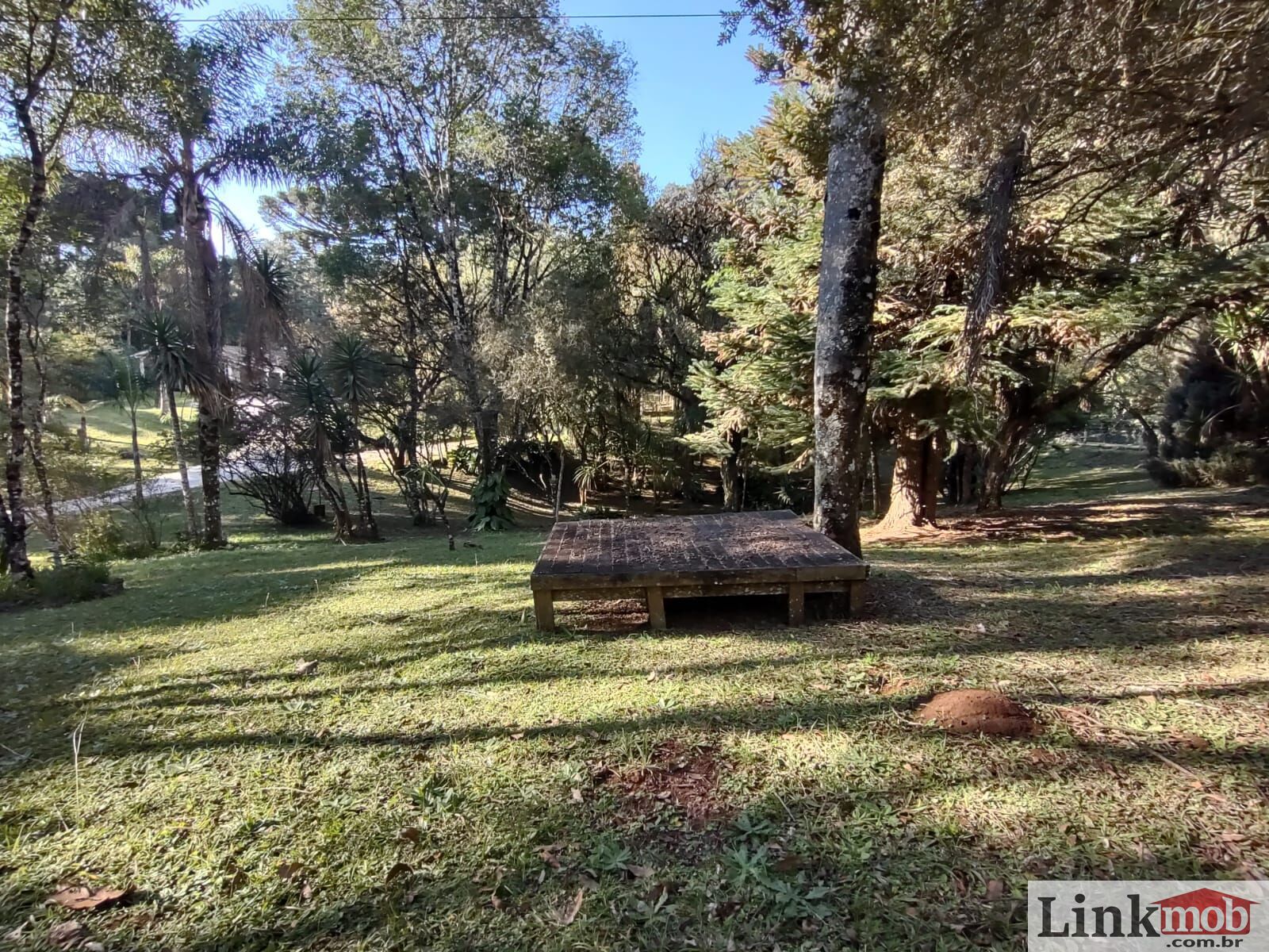 Fazenda à venda com 3 quartos, 11141m² - Foto 13