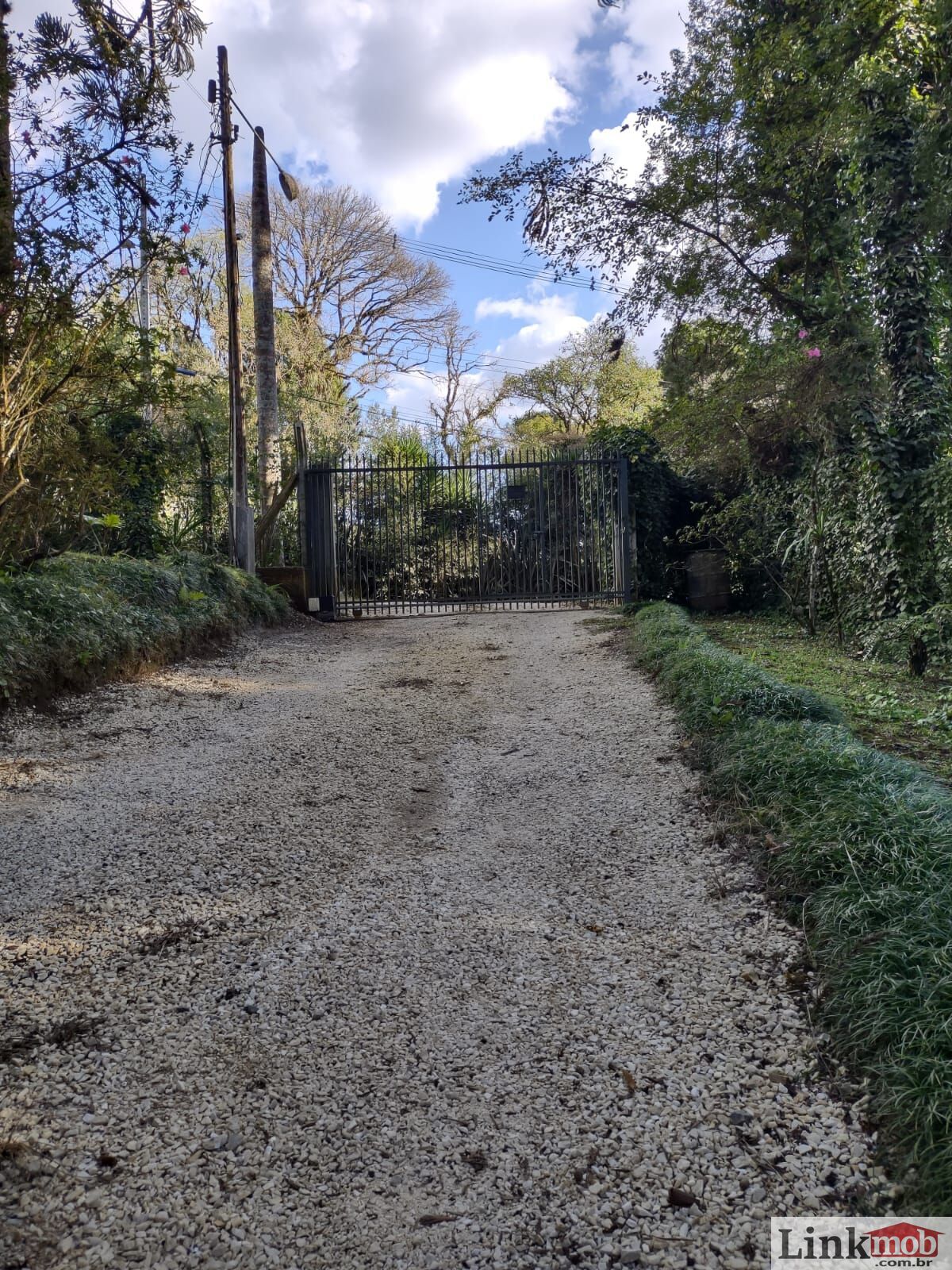 Fazenda à venda com 3 quartos, 11141m² - Foto 19