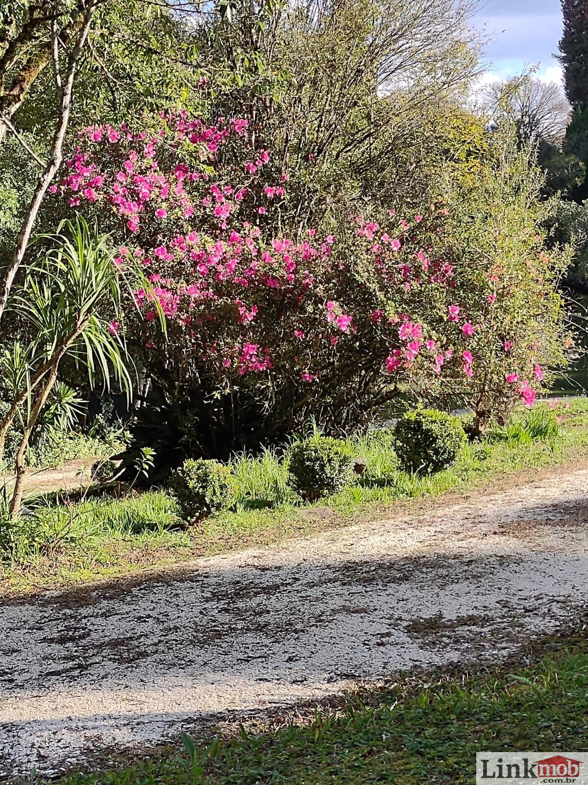 Fazenda à venda com 3 quartos, 11141m² - Foto 11