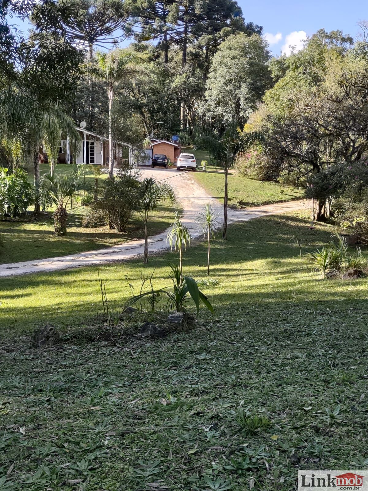 Fazenda à venda com 3 quartos, 11141m² - Foto 15