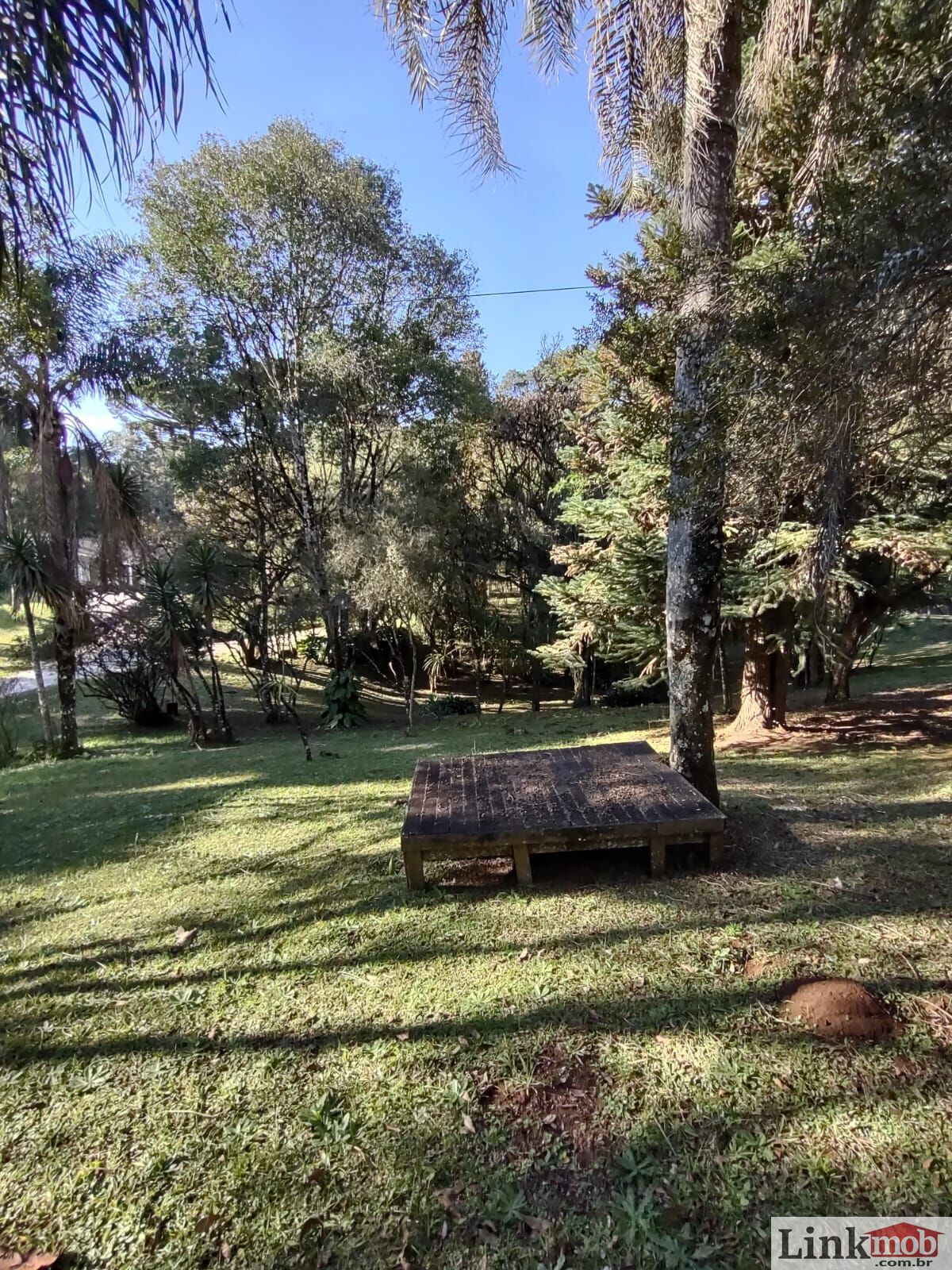 Fazenda à venda com 3 quartos, 11141m² - Foto 14