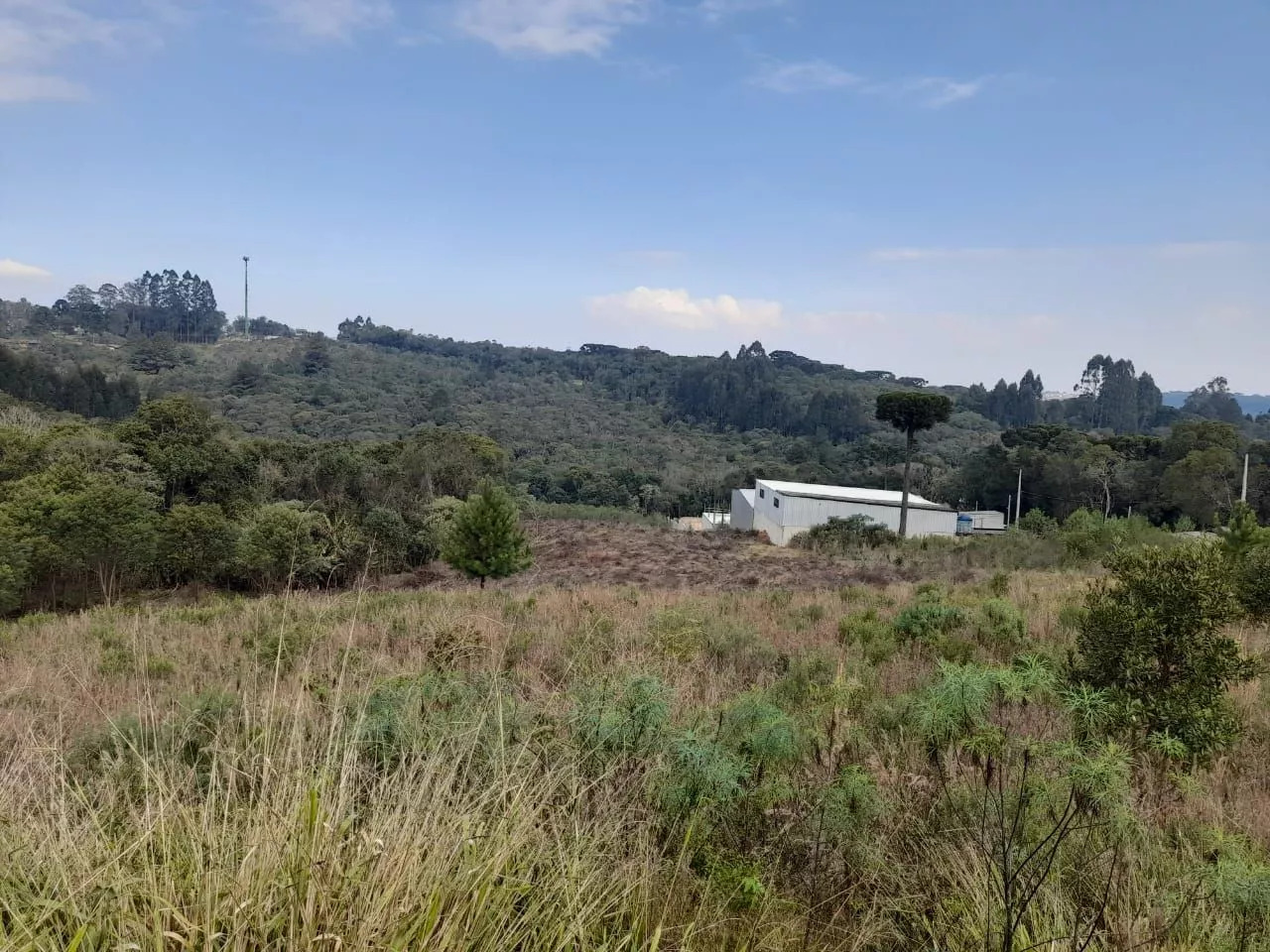 Fazenda à venda com 1 quarto, 20000m² - Foto 10