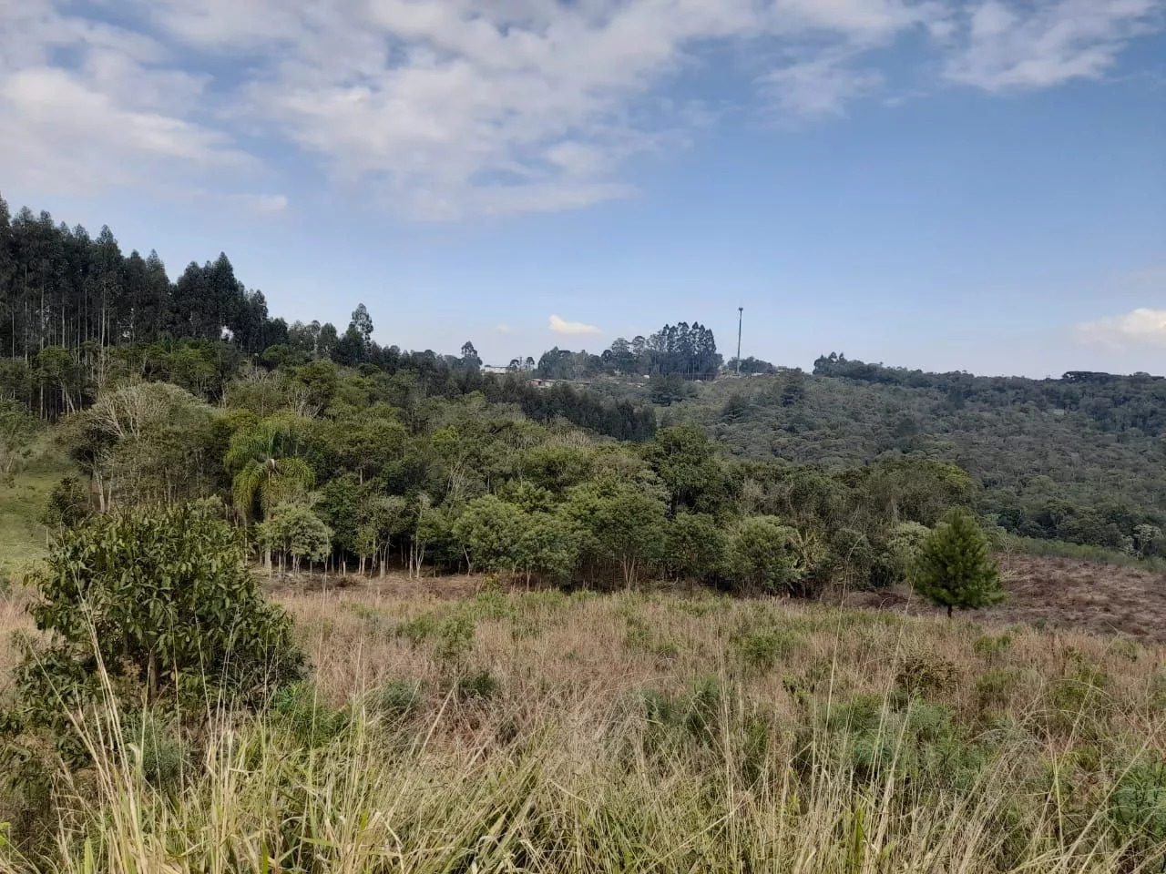 Fazenda à venda com 1 quarto, 20000m² - Foto 9