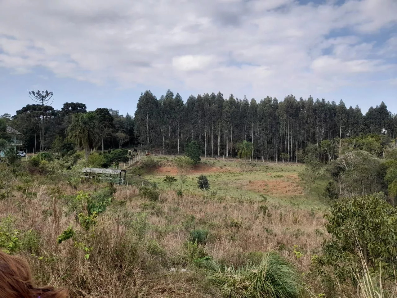 Fazenda à venda com 1 quarto, 20000m² - Foto 1