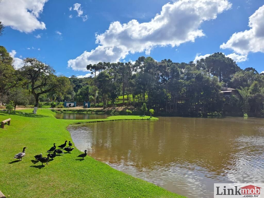 Fazenda à venda, 4500m² - Foto 22