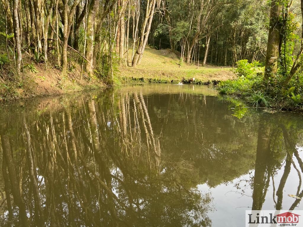 Fazenda à venda, 4500m² - Foto 24